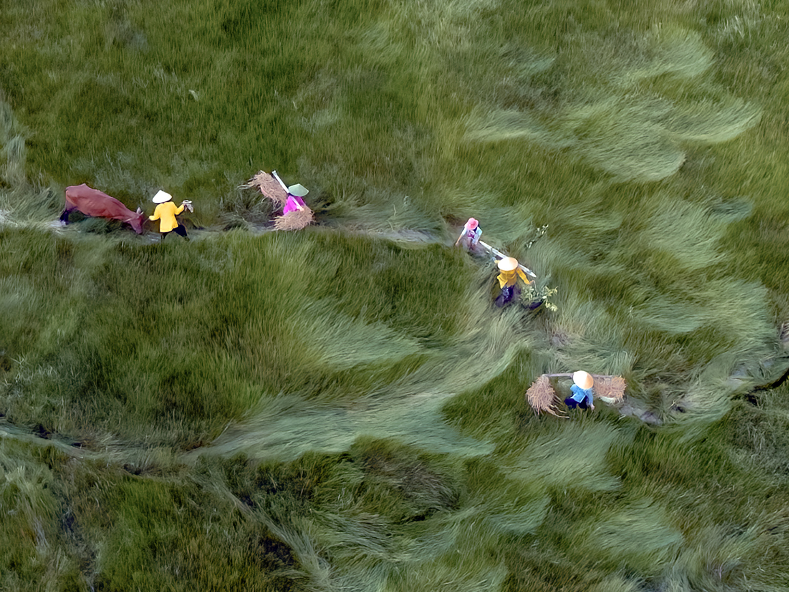 drone photo of workers in the field