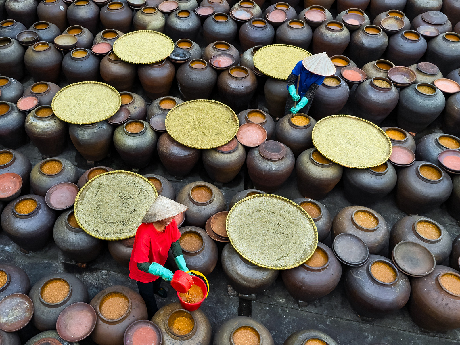 Soya Sauce factory