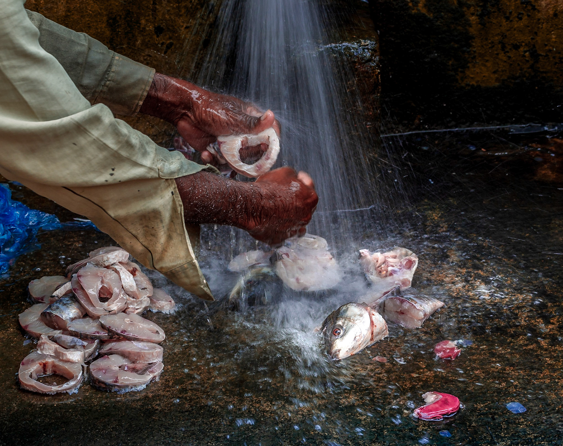 Washing fish