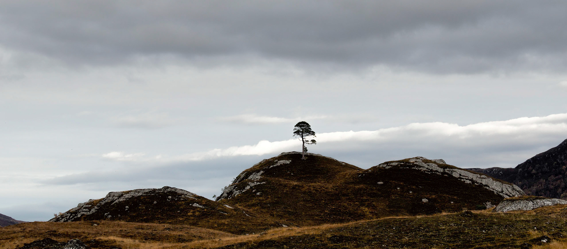 Glen Strathfarrar