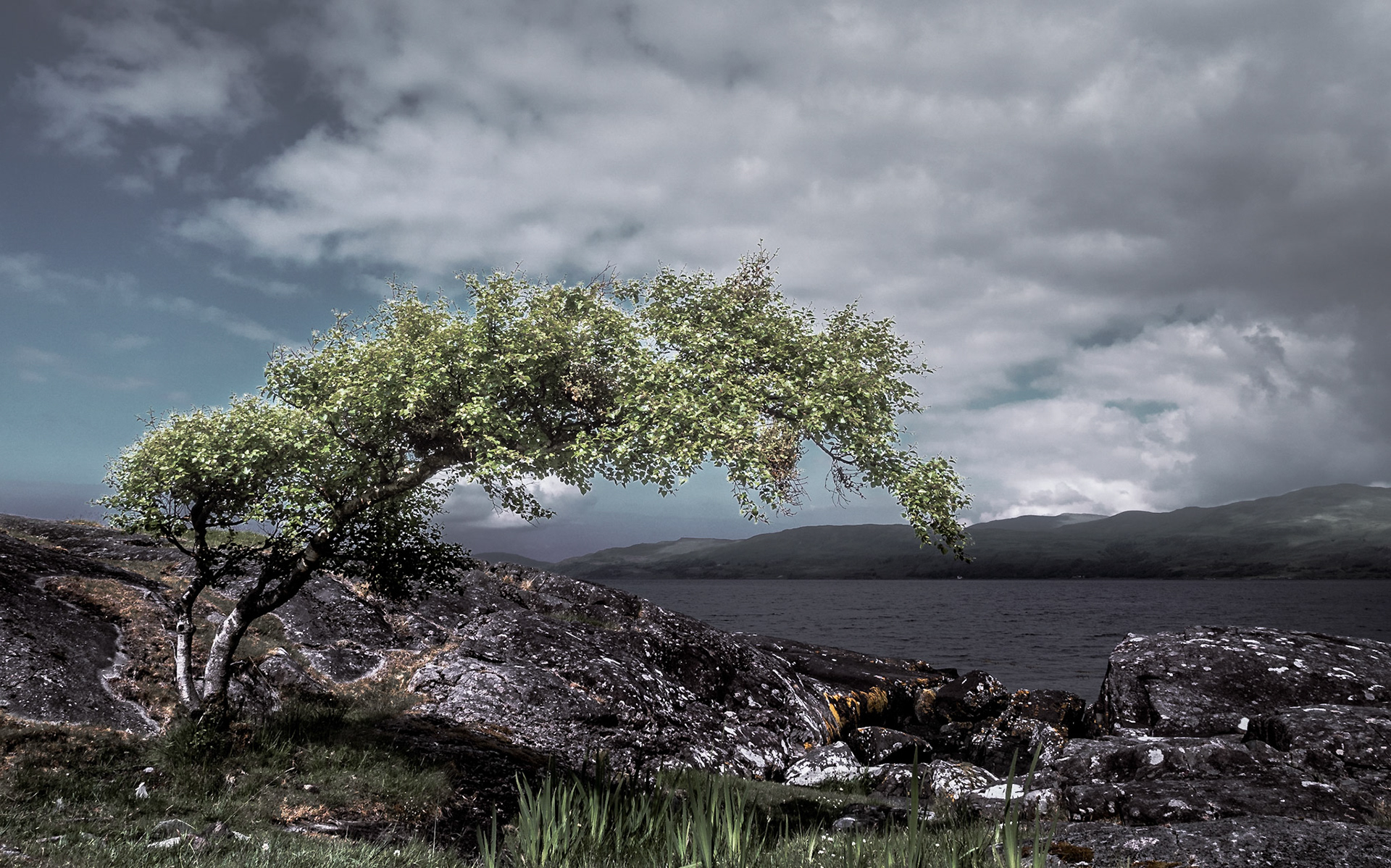 Mull