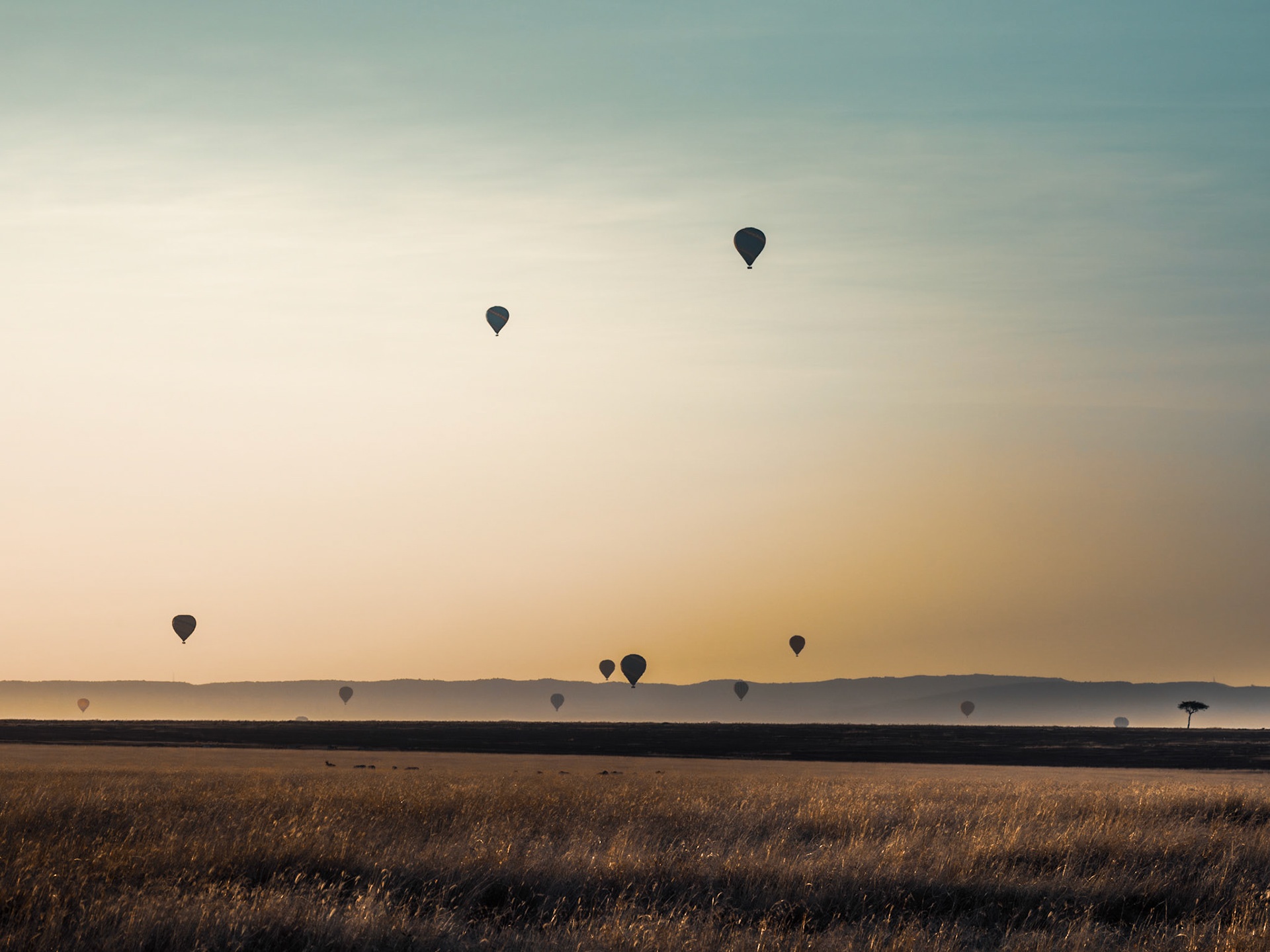 Early morning balloons
