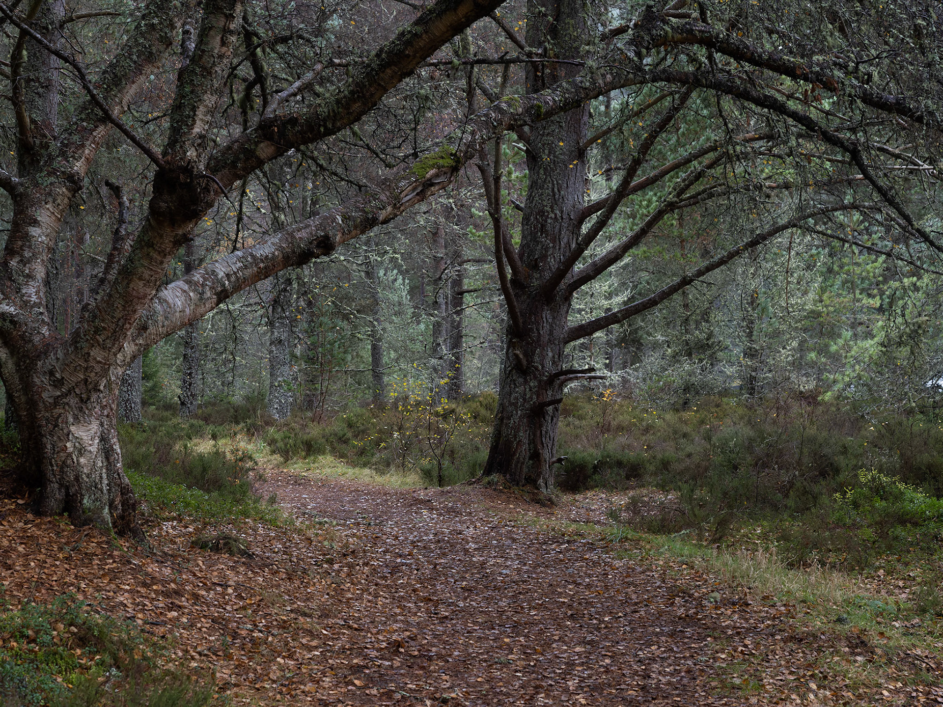 Around Uath Lochan