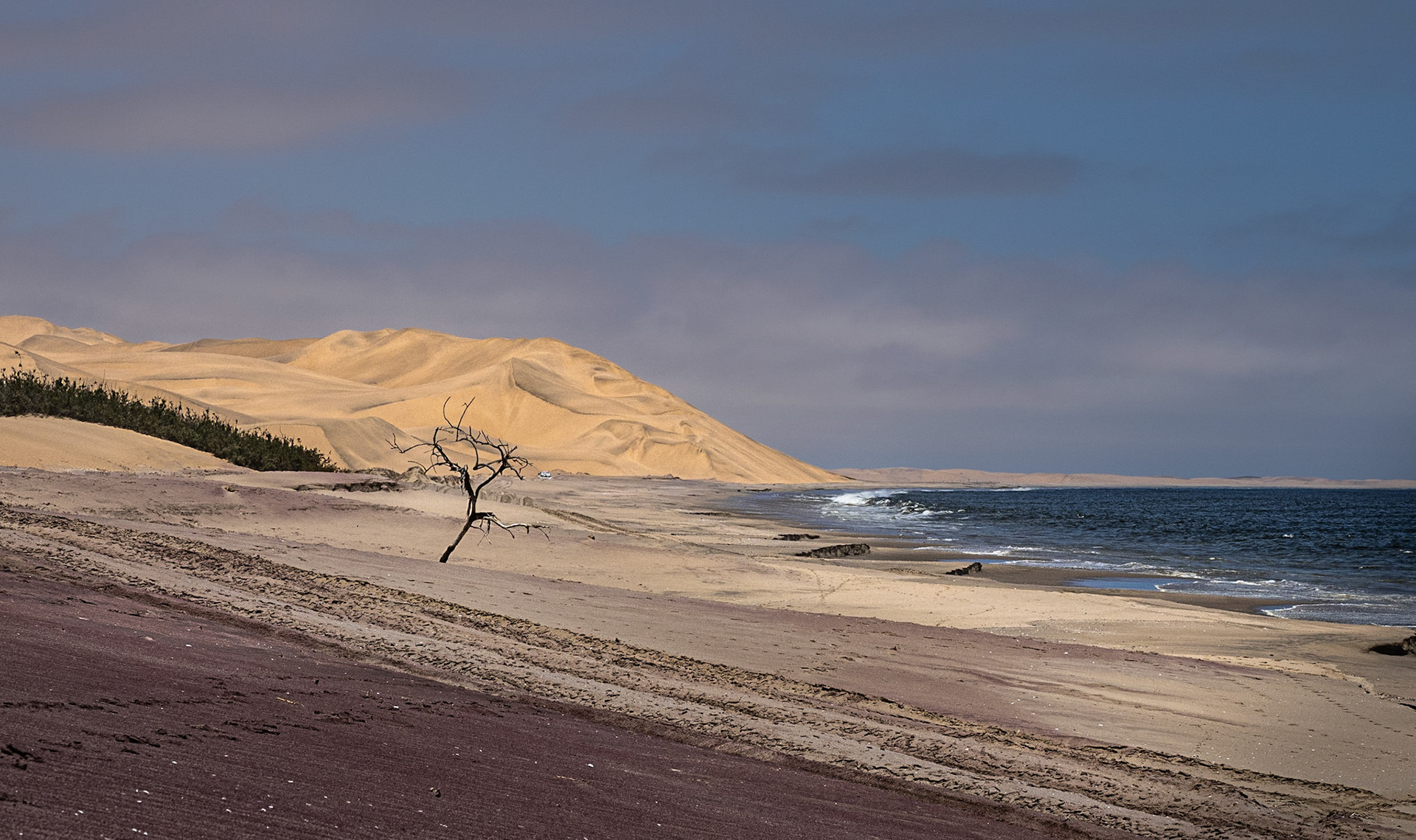 Skeleton Coast