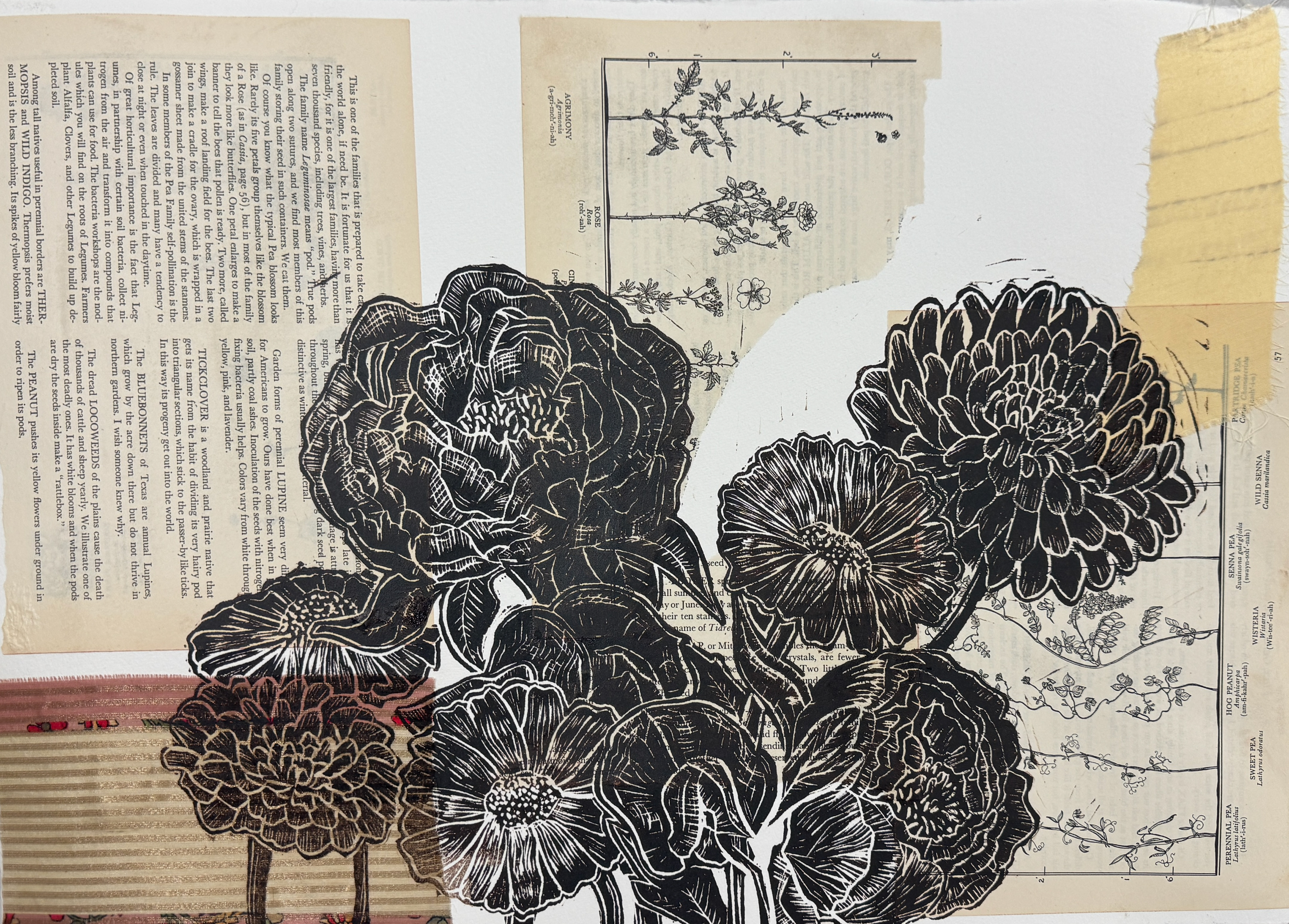 Linolium Print on paper with found book pages and fabric collage.