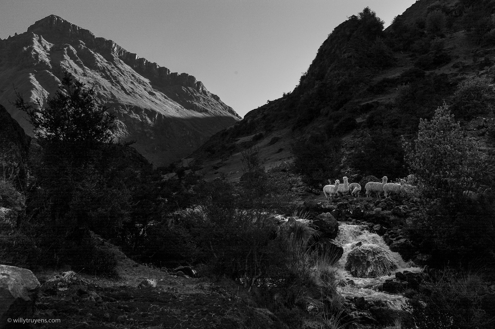 Lares Trail