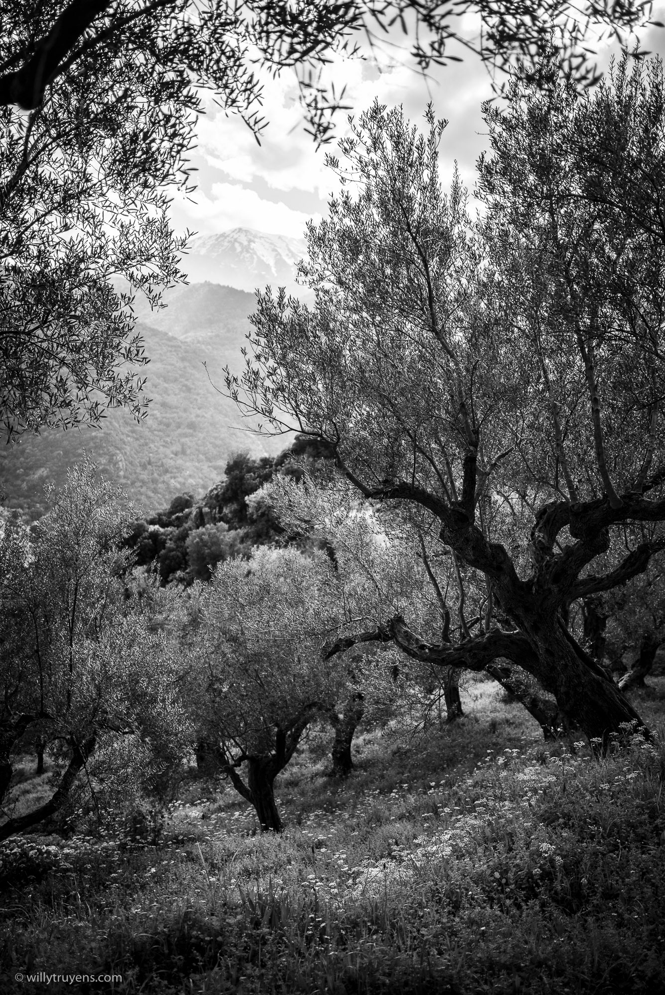 Mystras