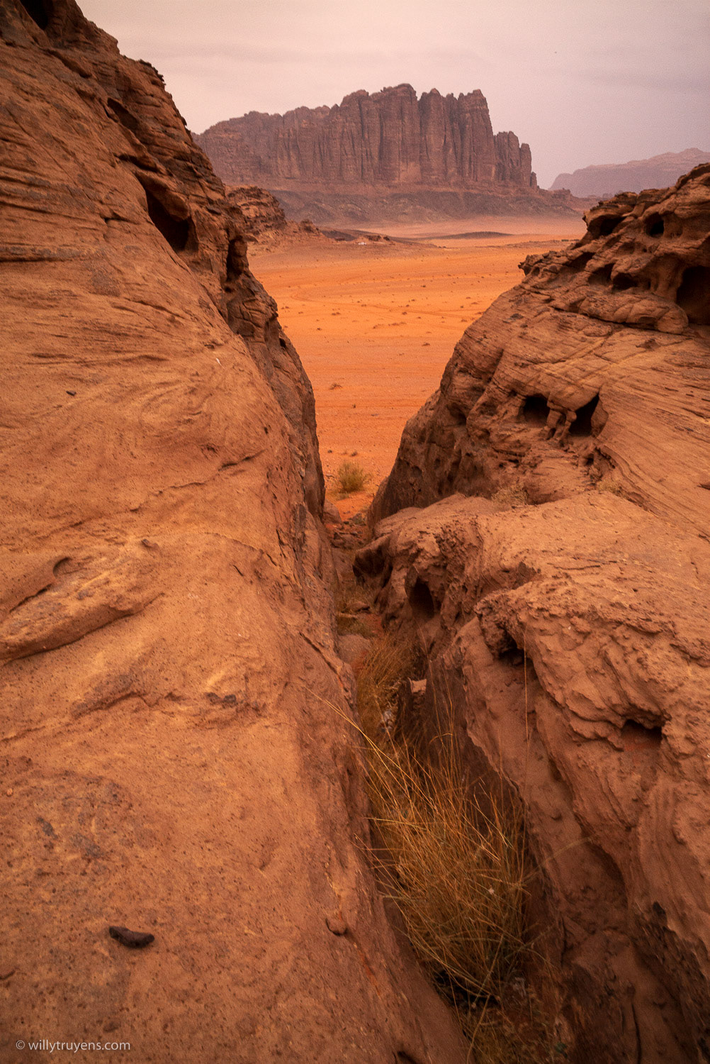 Life on Mars II