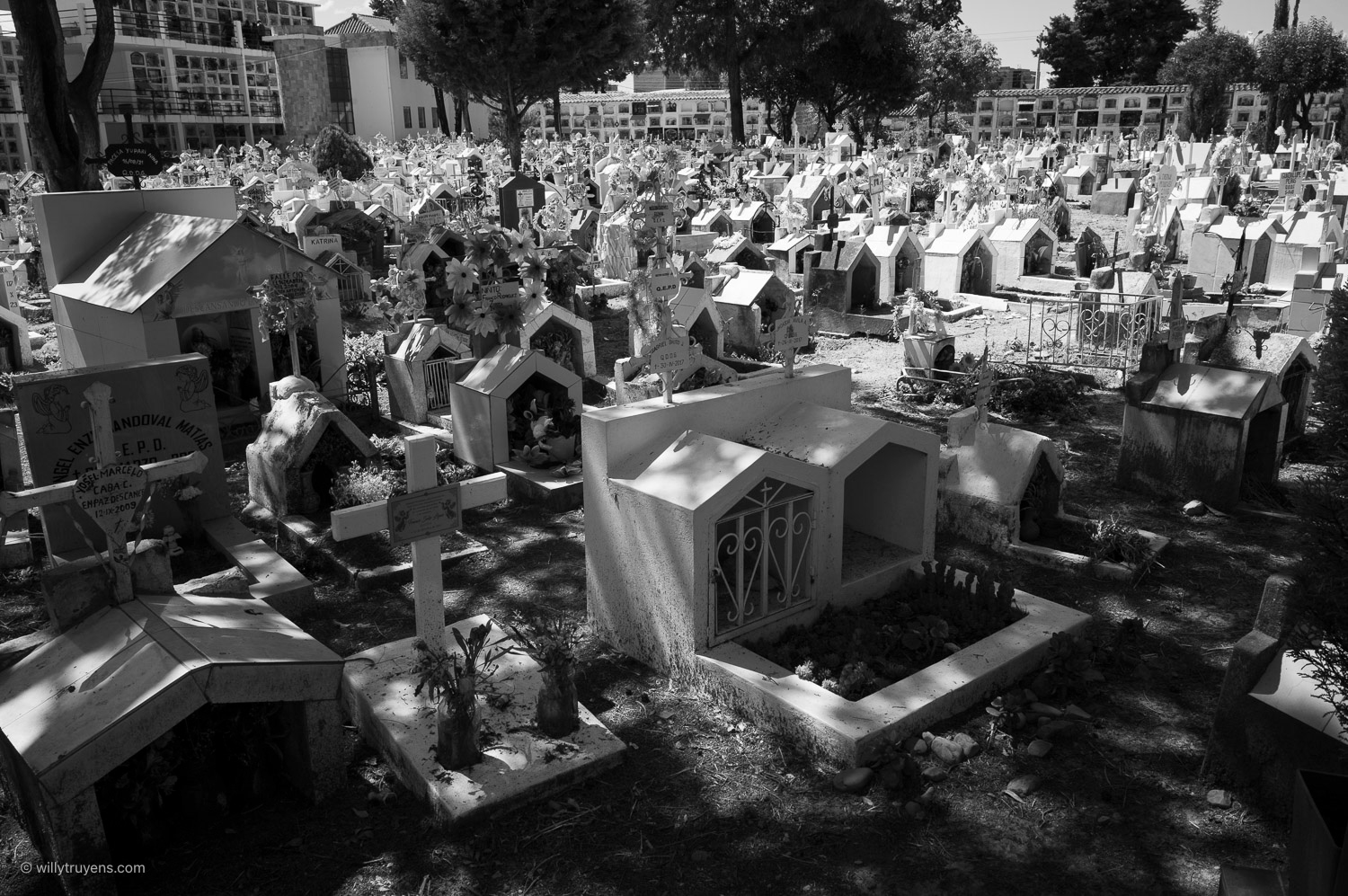 So many children's graves ...