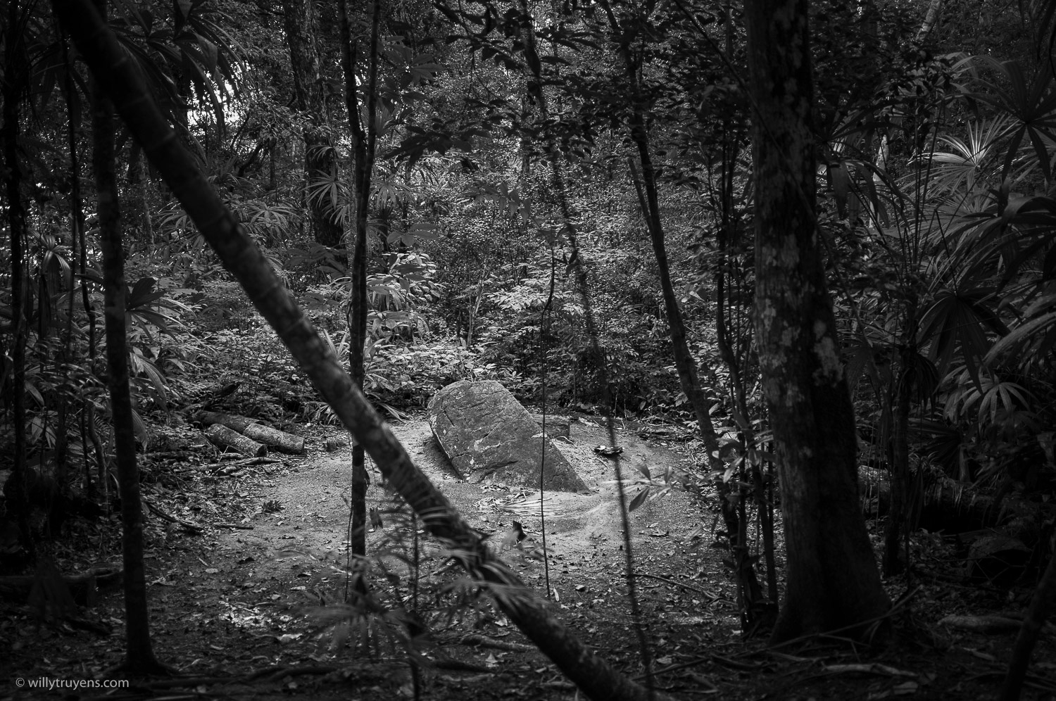 Sunken stèle, Tikal, Guatemala