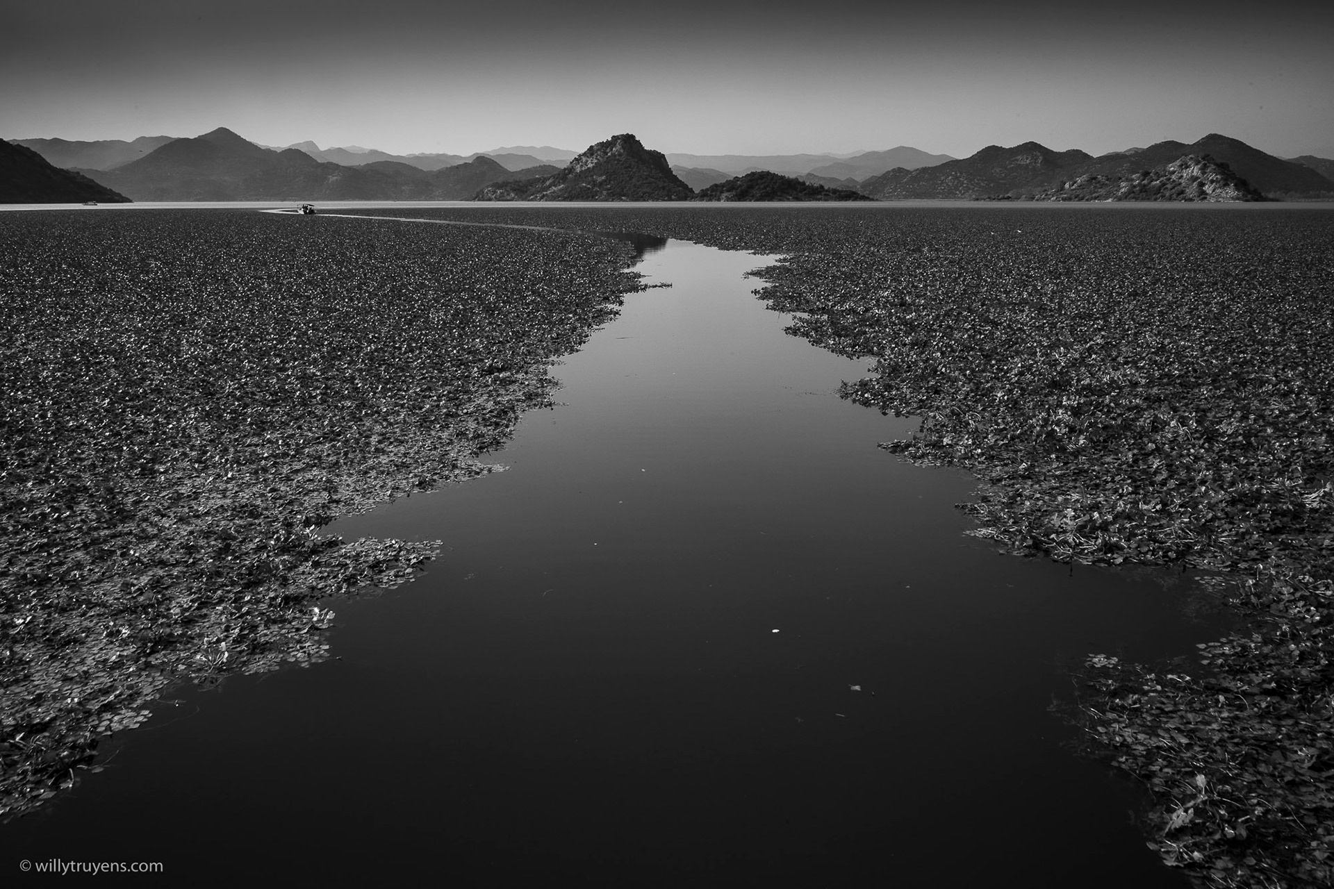 Skadar Lake