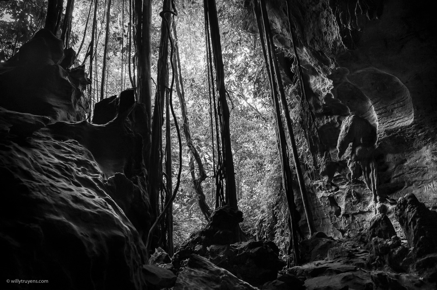 Bat Cave, Bukit Lawang, Sumatra