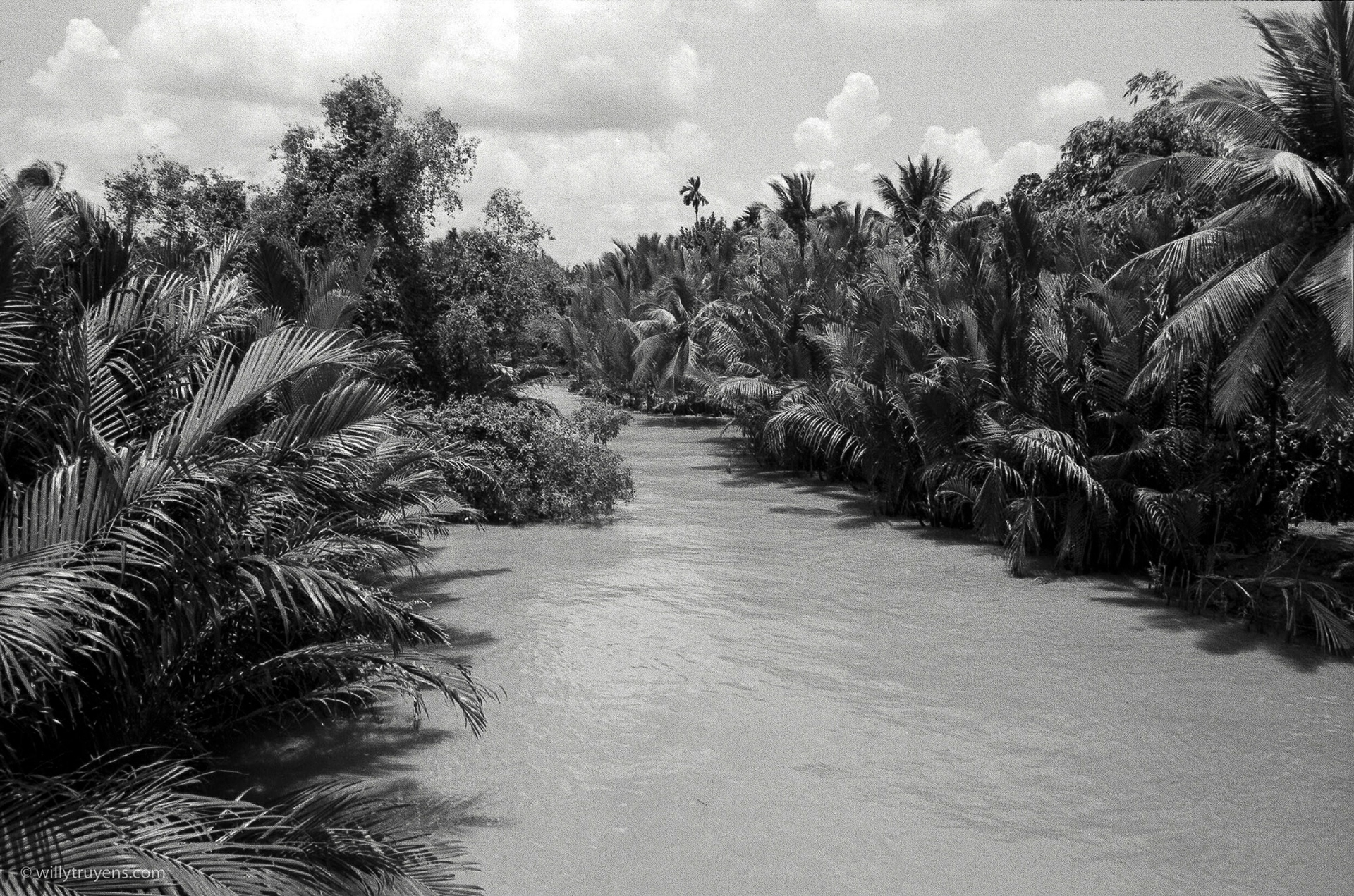 Mekong delta