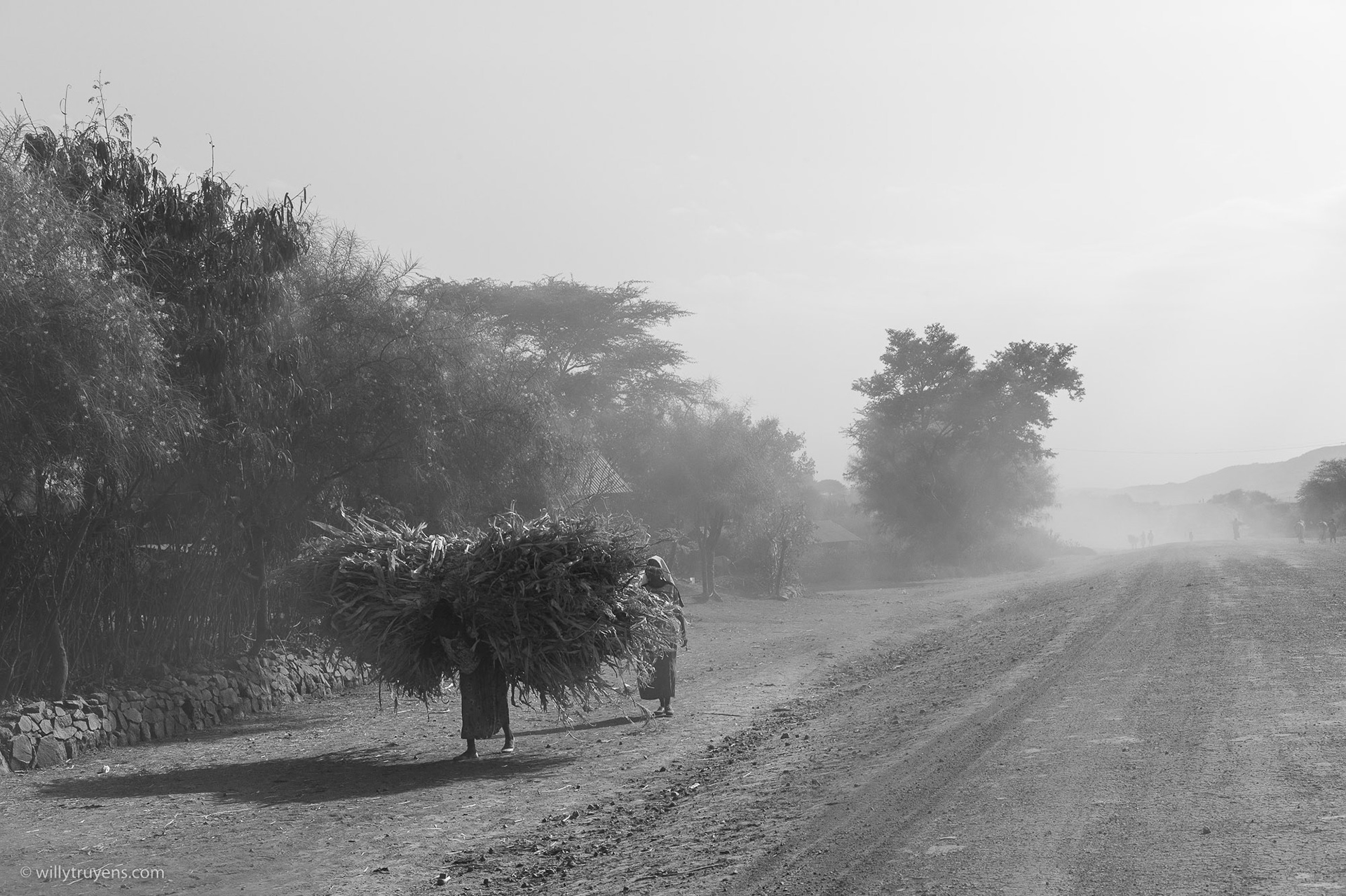 The road to Hawassa