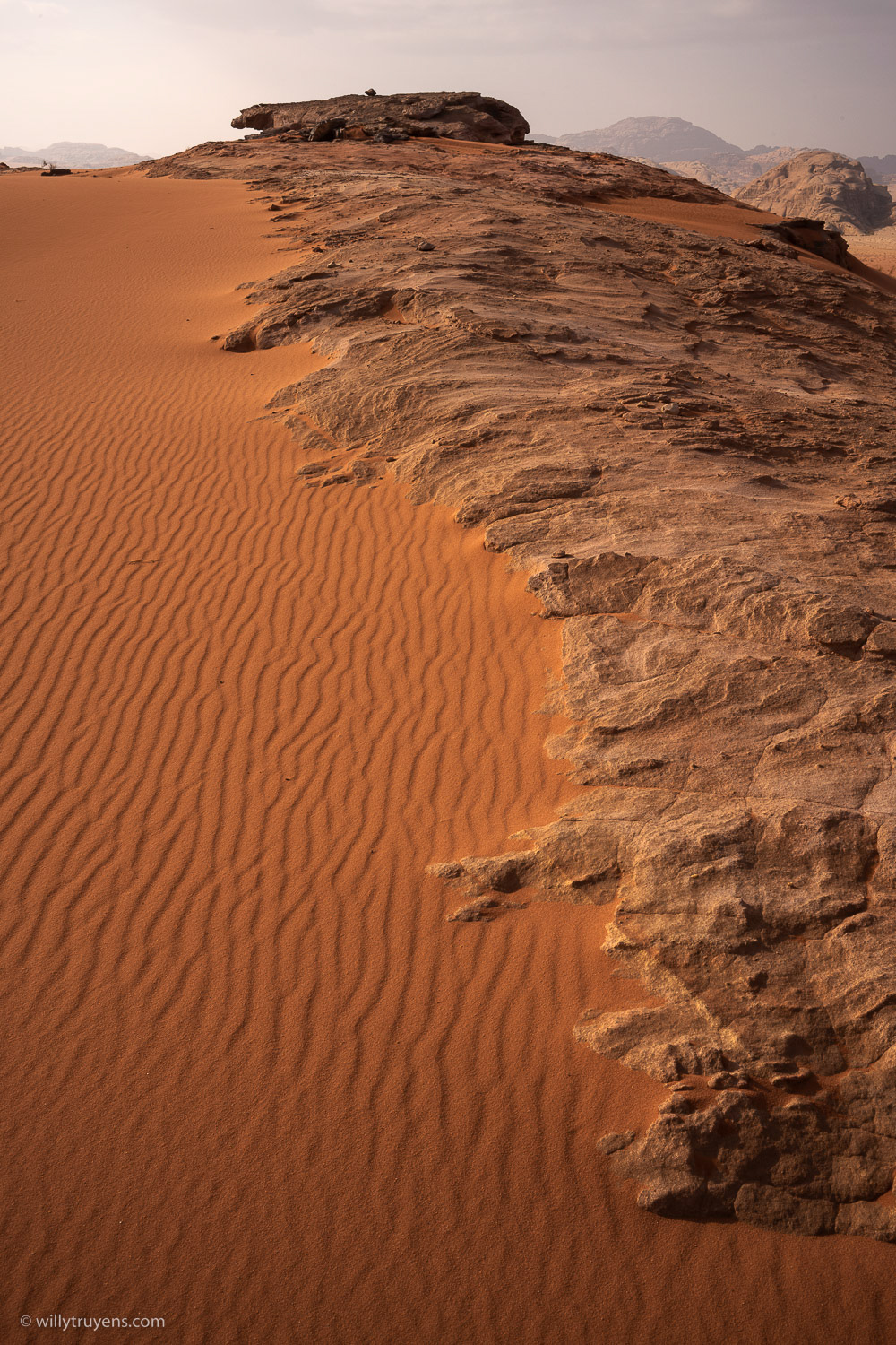 Life on Mars III