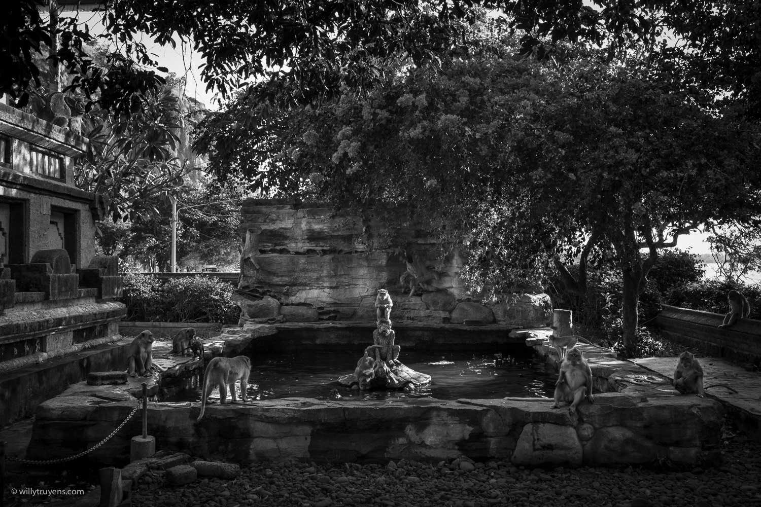 The Monkey Temple near Lovina, Bali