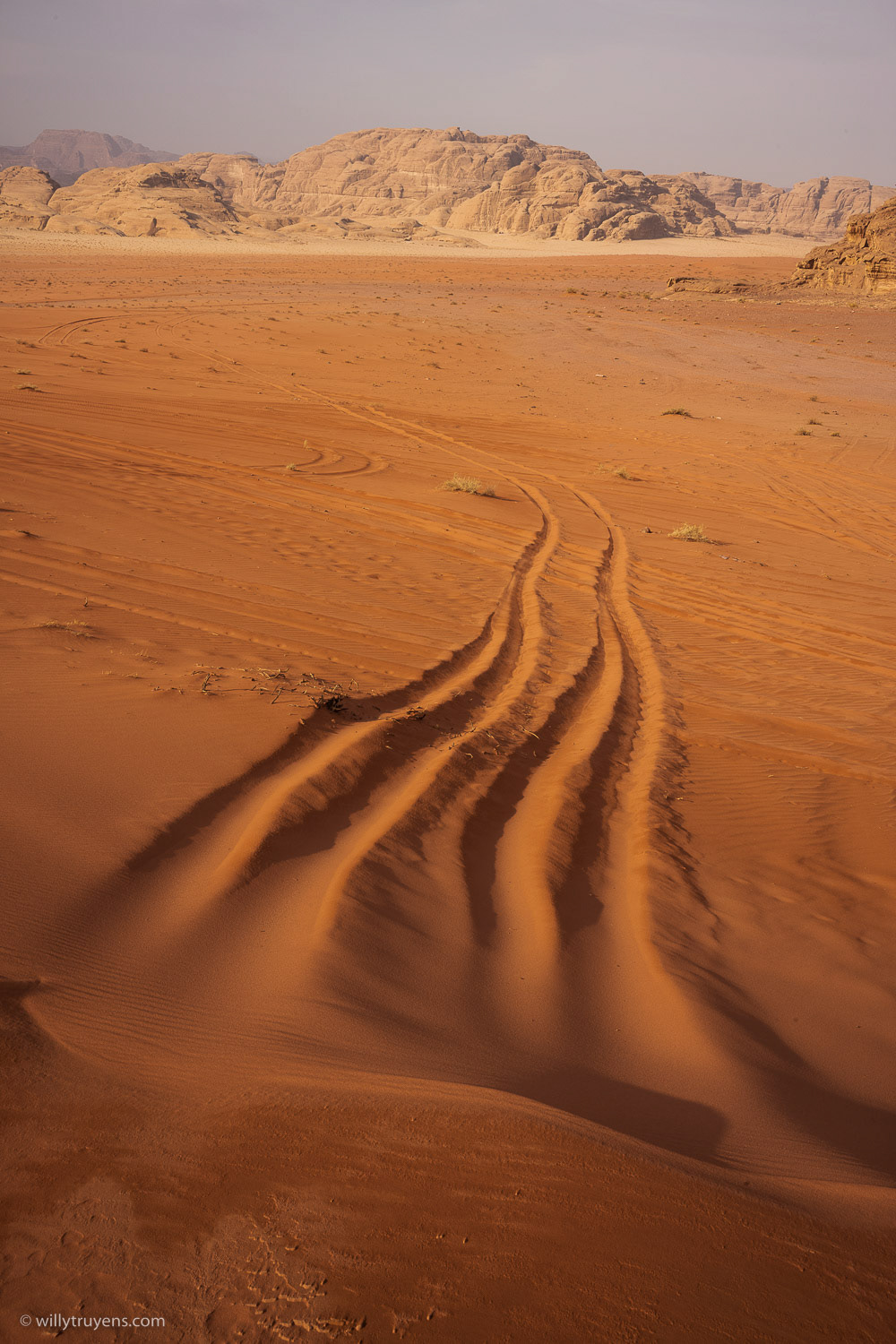 Life on Mars I