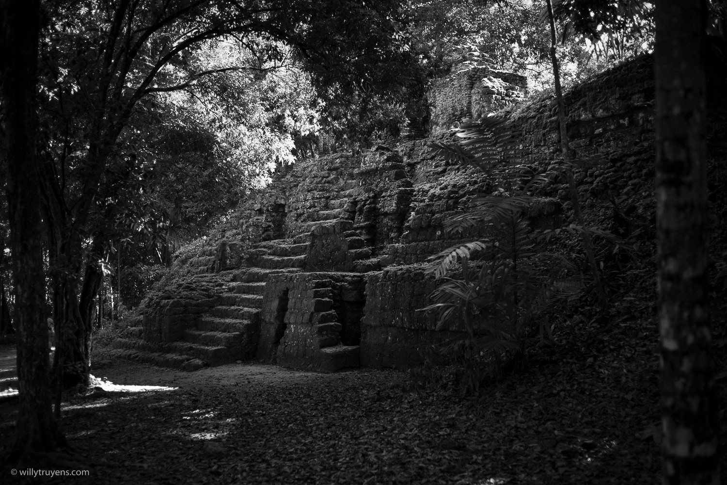 Maya Temple, Tikal, Guatemala
