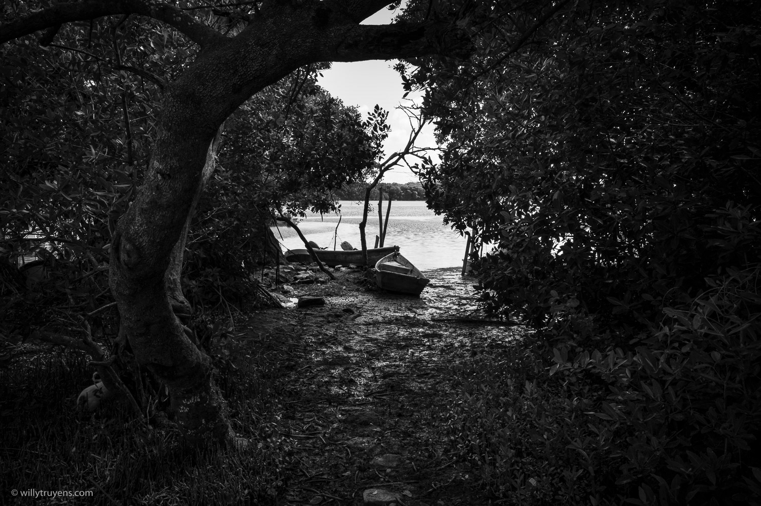 Laguna de Celestun, Mexico