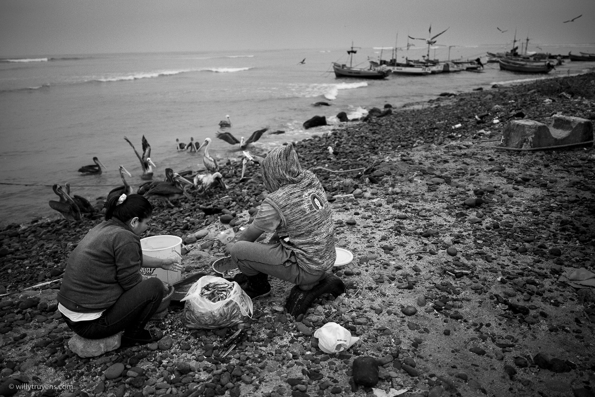 Pisco Harbour