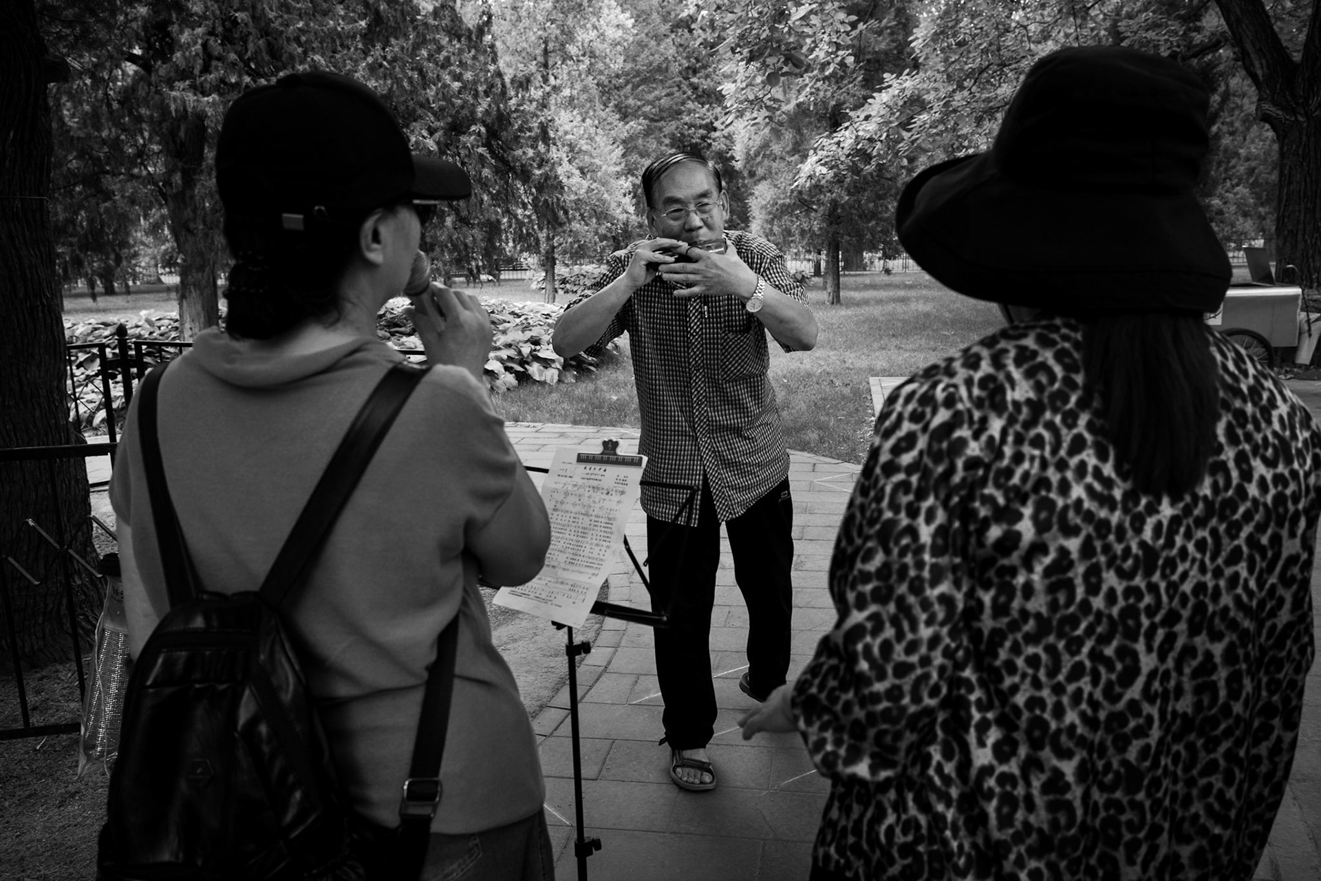 Harmonica Player, Temple of Heaven Park, Beijing , China