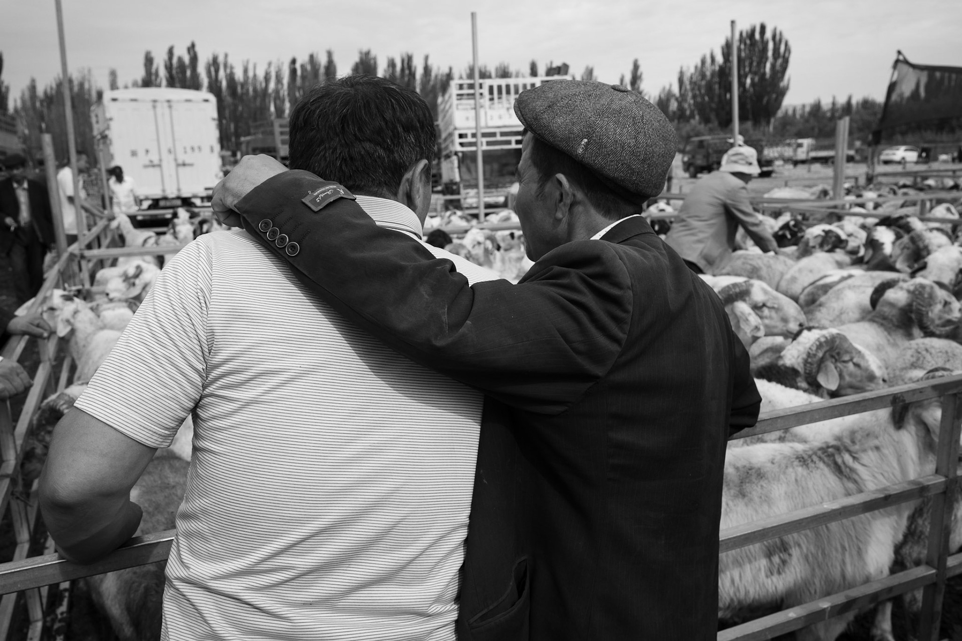 Private Deal, Sunday Livestock Market, Kashgar, China