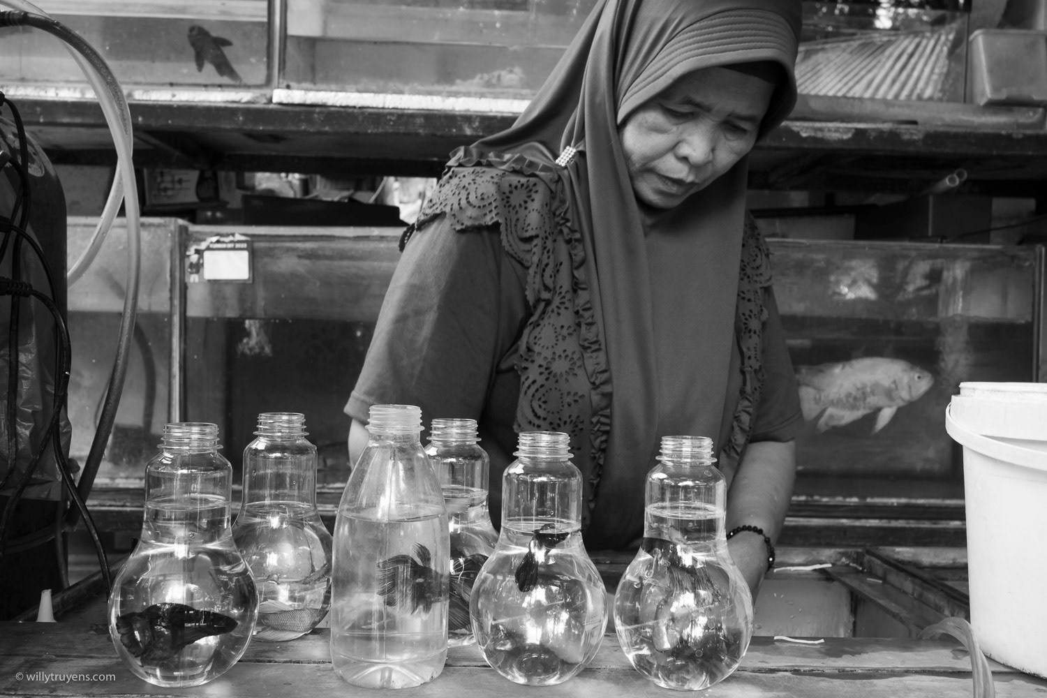 Fish in a Bottle, Jogjakarta, Java