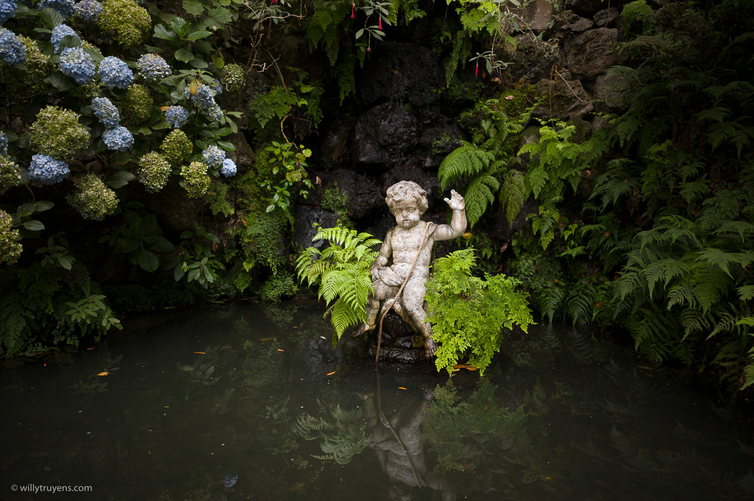 Botanical Garden, Funchal