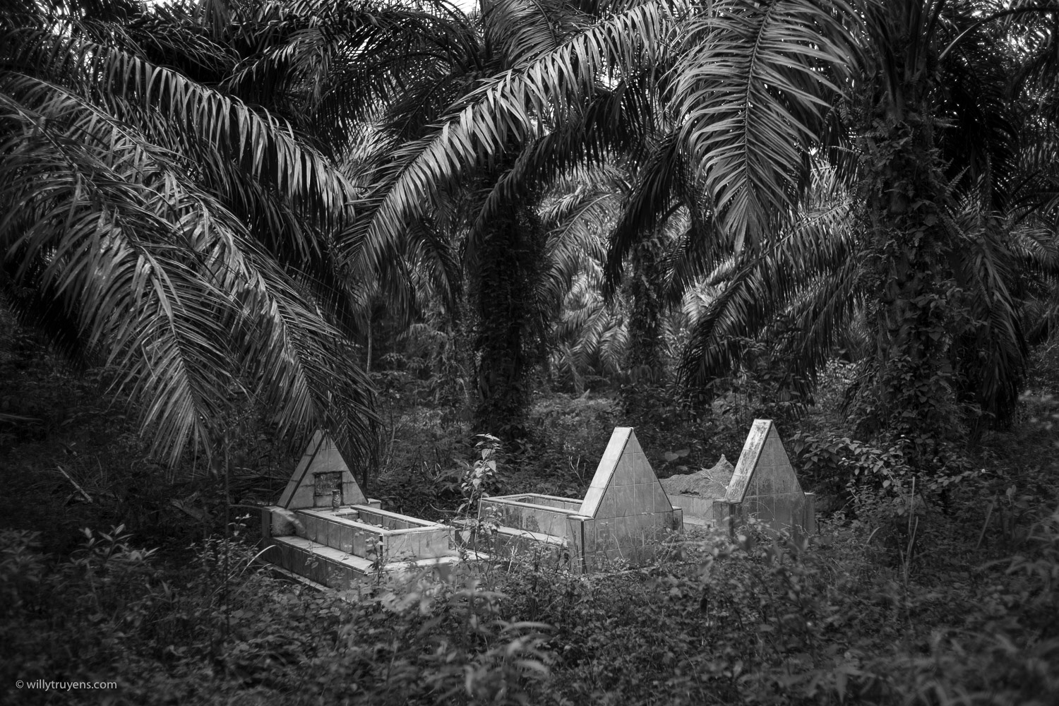 Tombstones, Bukit Lawang, Sumatra