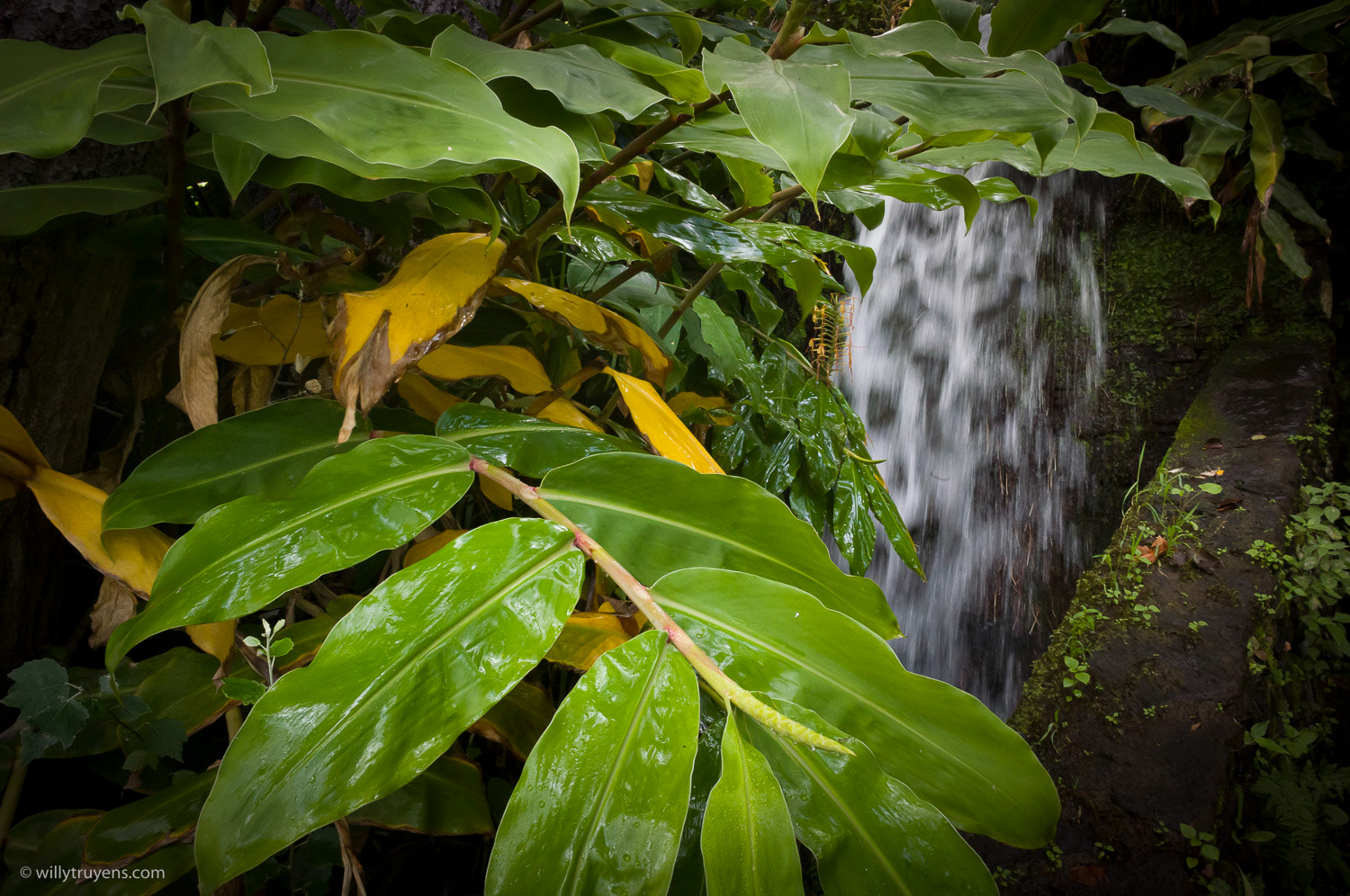 Levada do Moinho