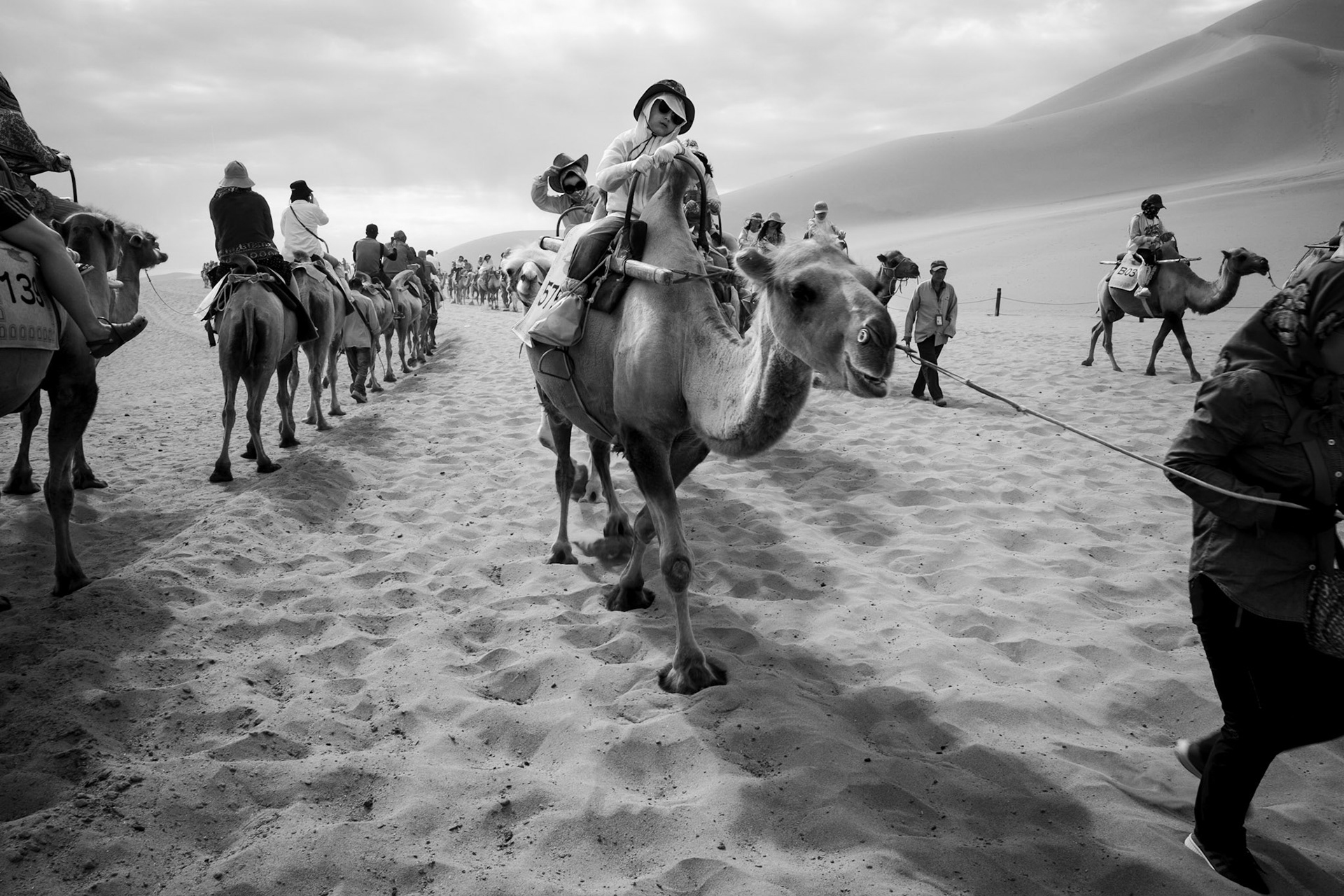 Tourist Caravan, Sand Dunes, Dunhuang, China