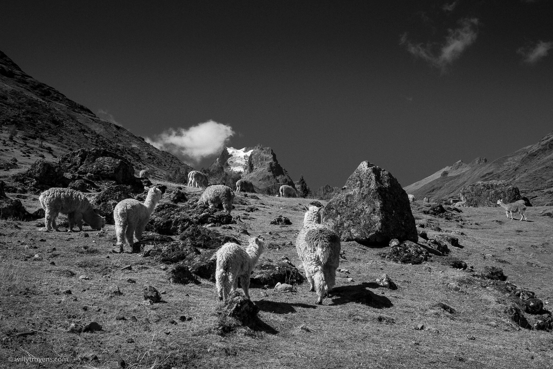 Lares Trail