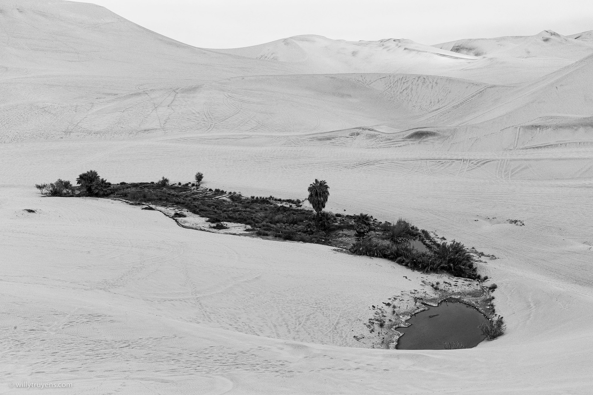 Huacachina Oasis