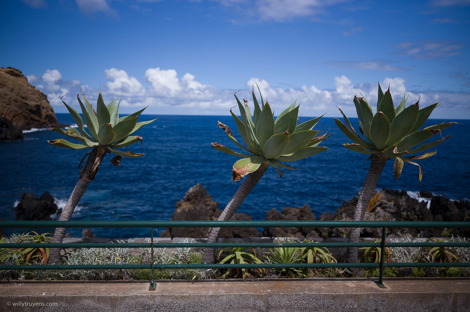 Porto Moniz