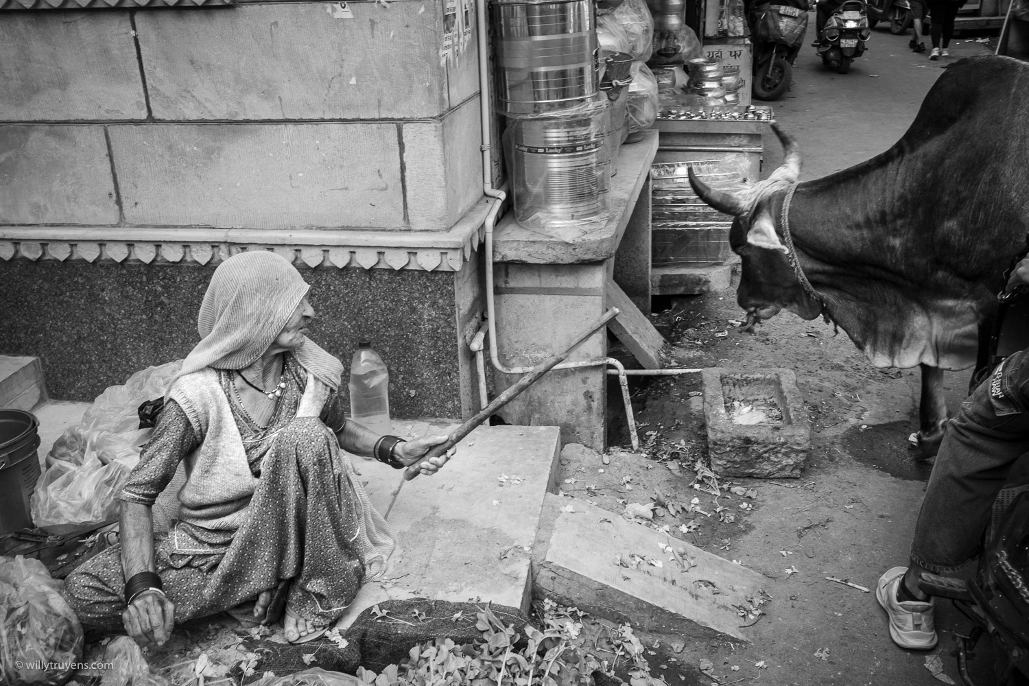 Jodhpur