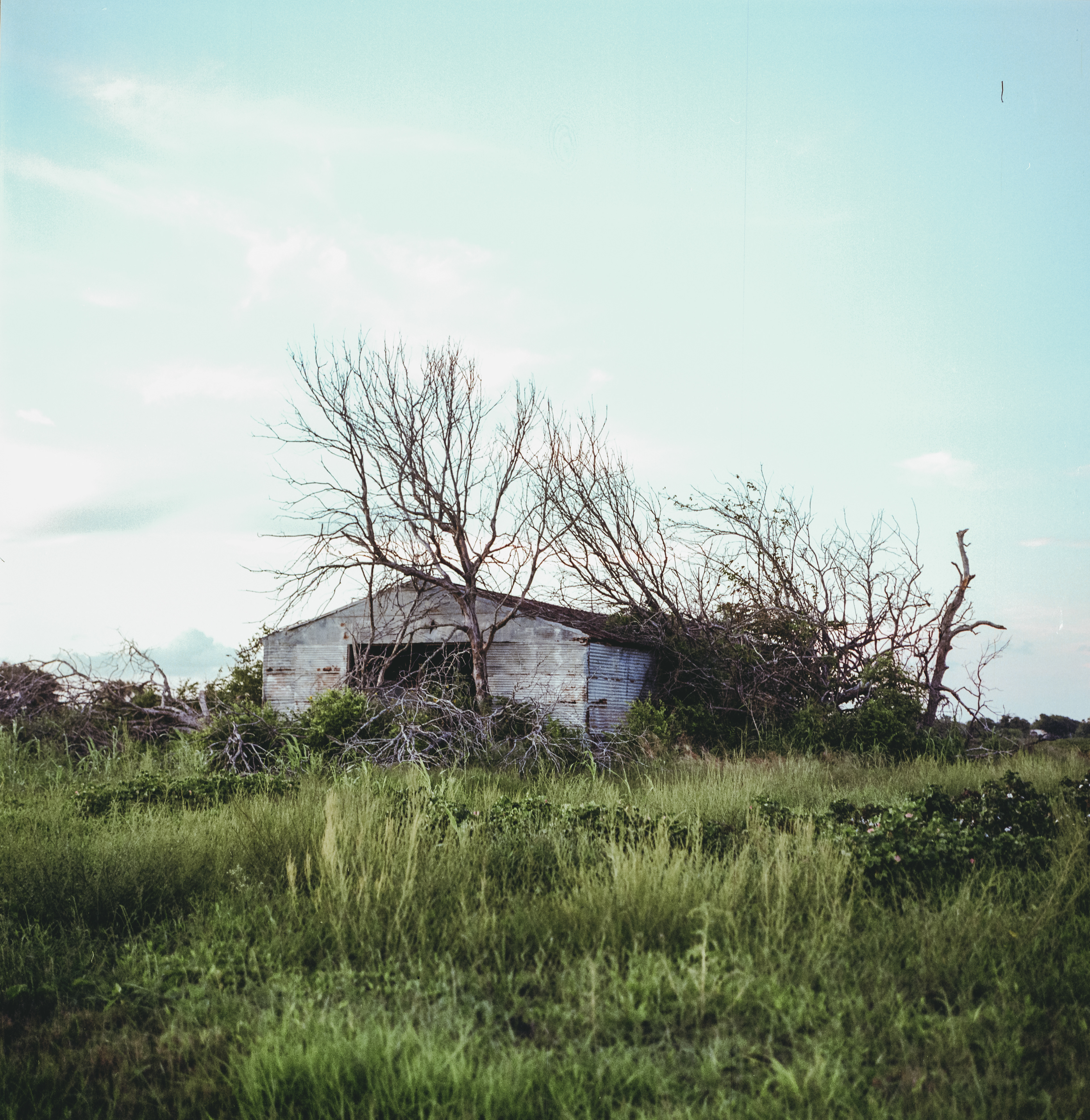 indianola, tx