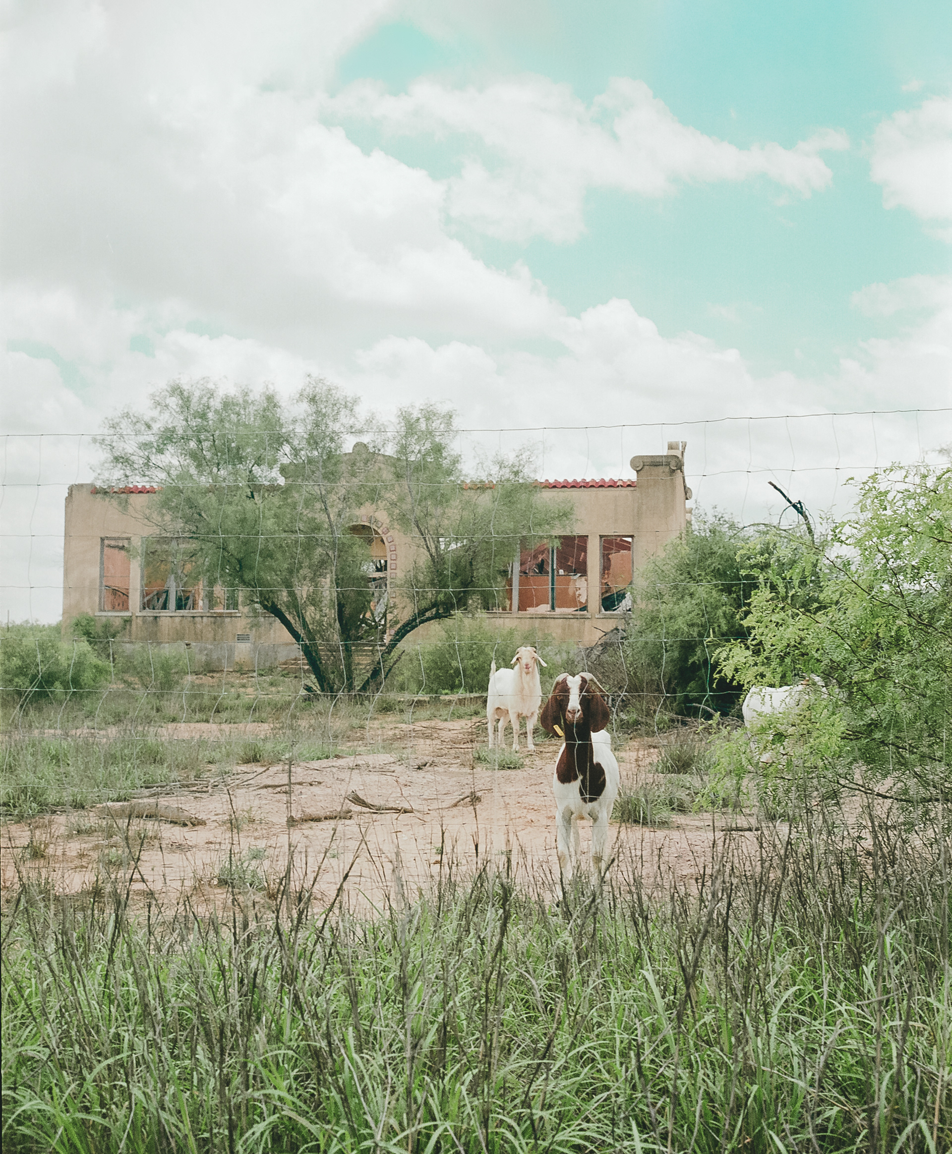 Catalina, TX
