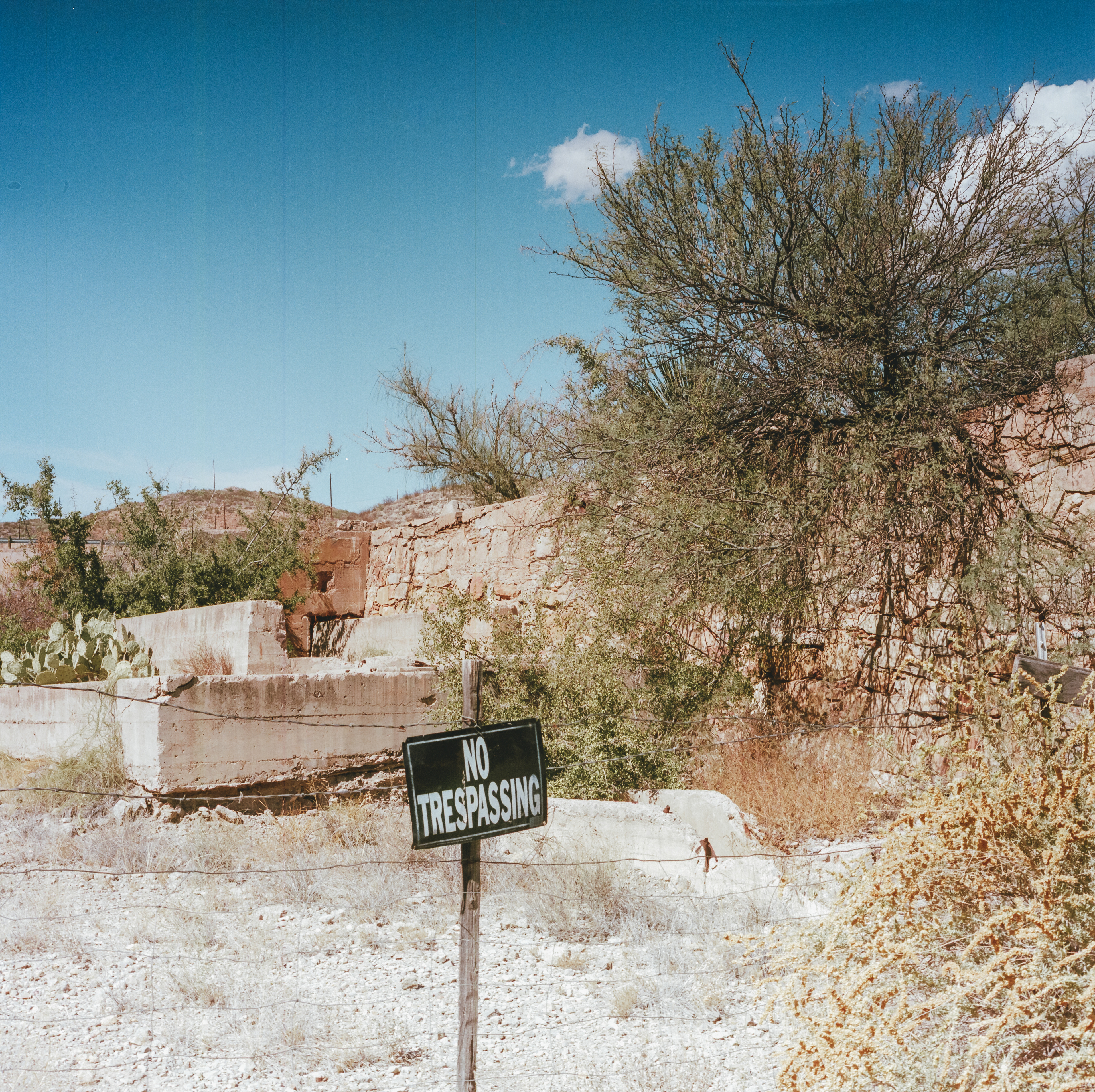 shafter, tx