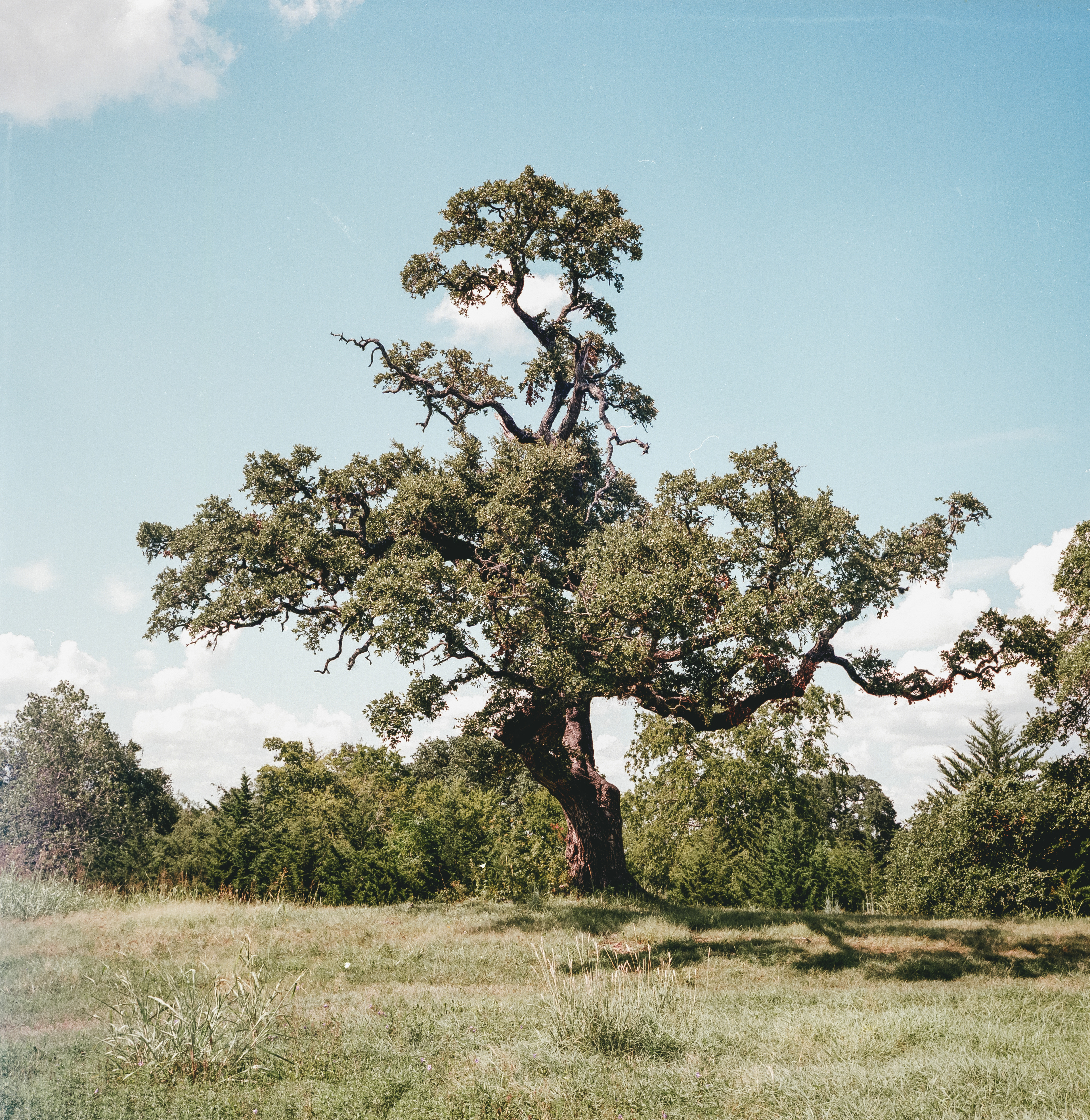 independence, tx