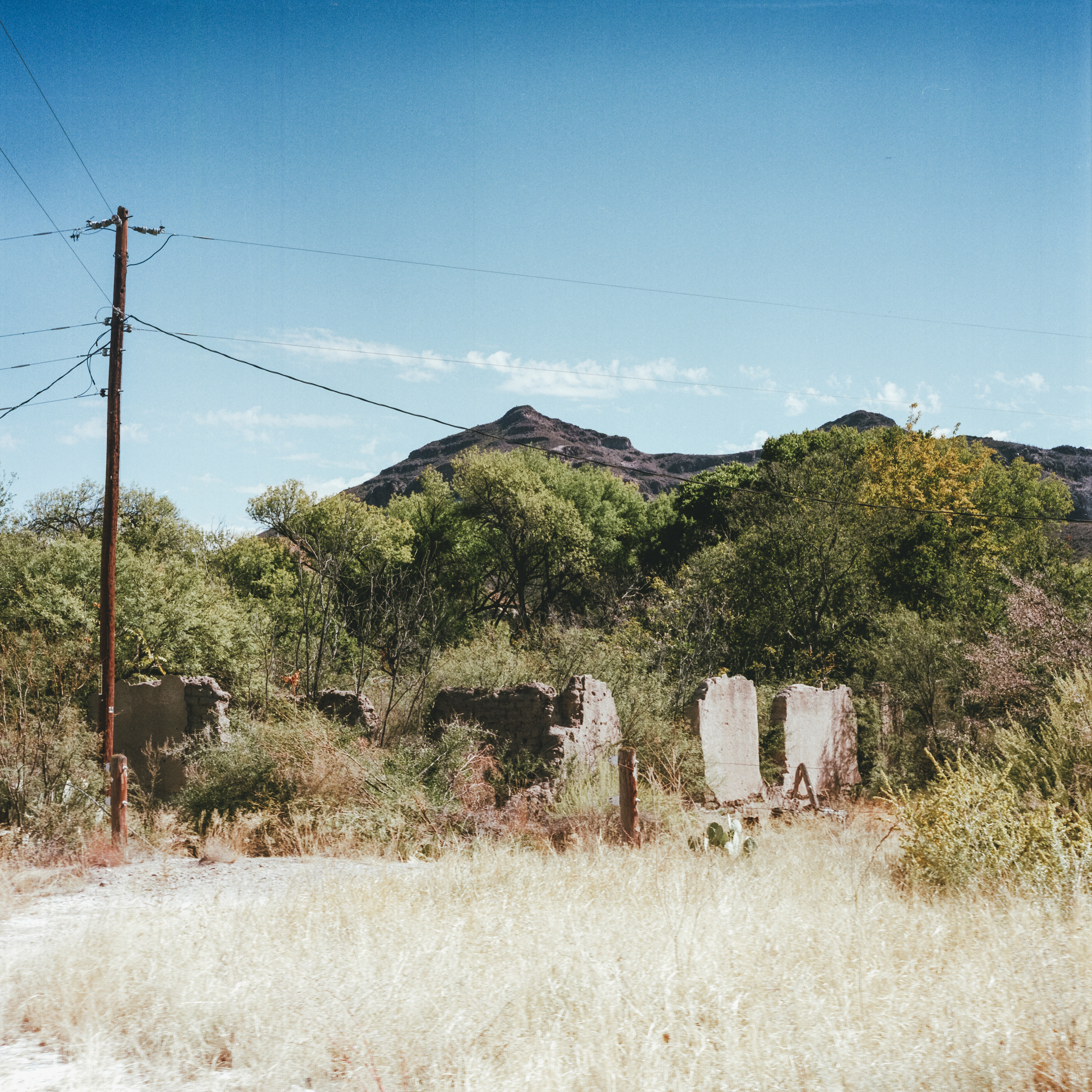 shafter, tx
