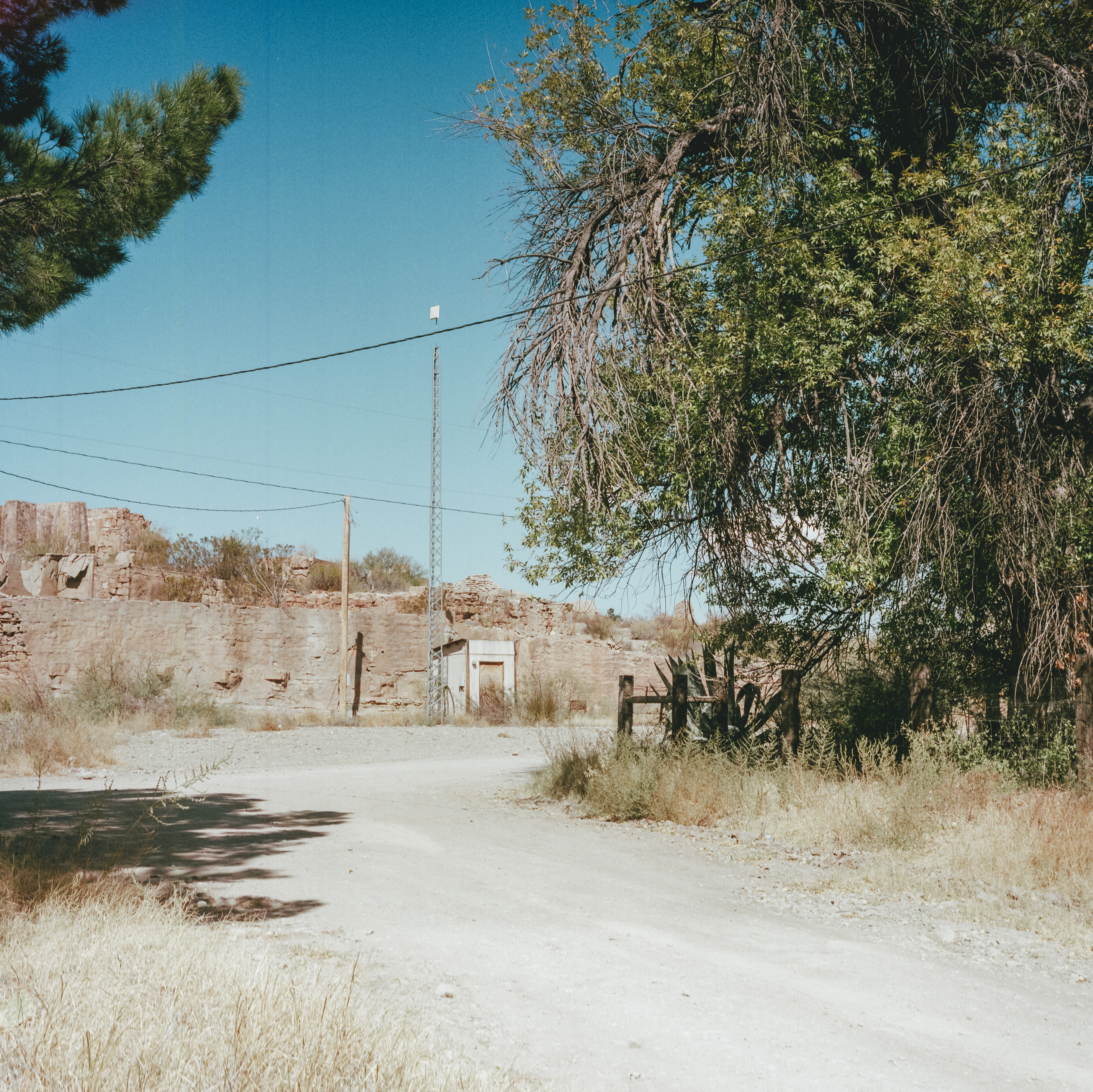 shafter, tx