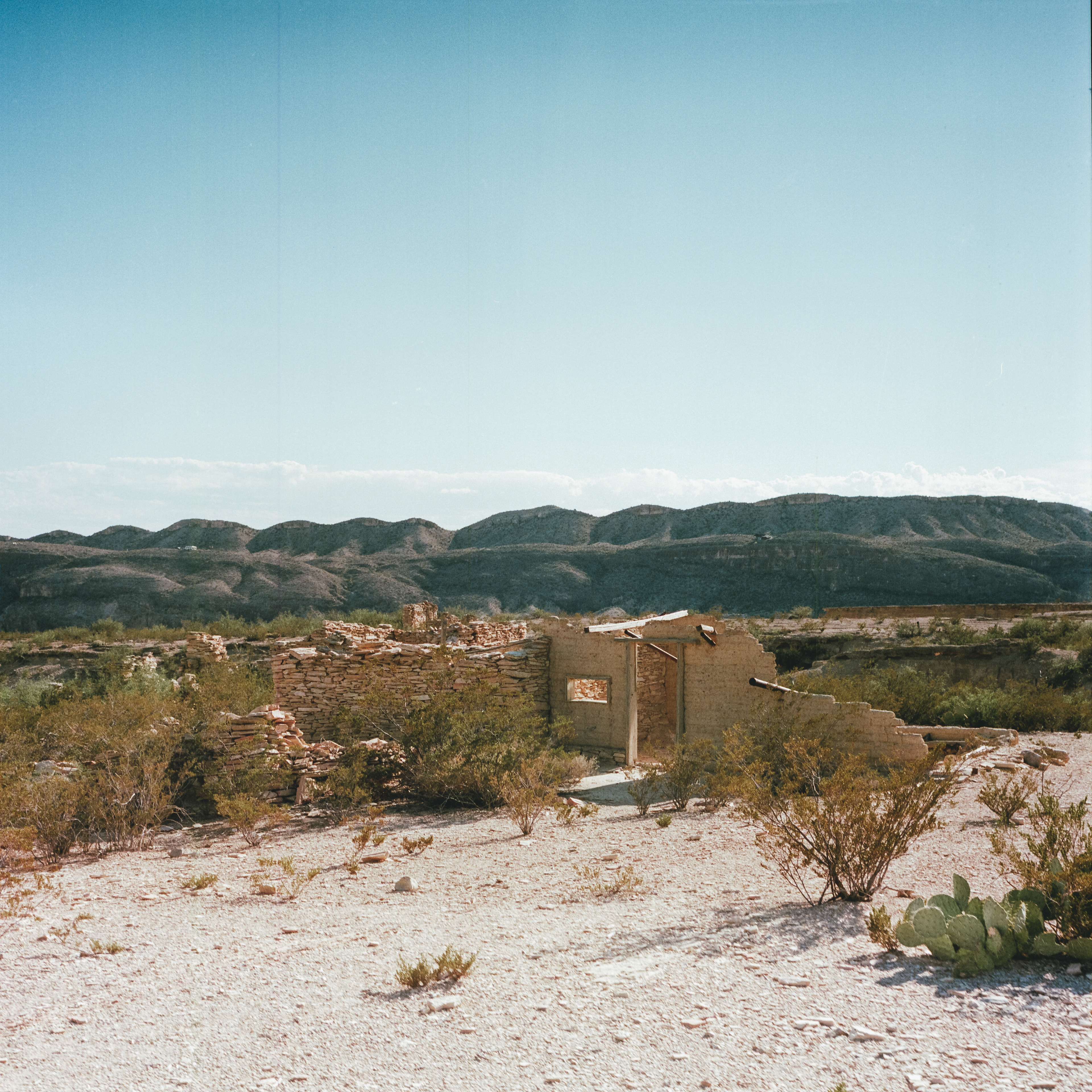 terlingua, tx