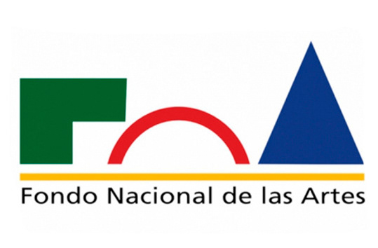 GANADOR DE LA BECA DE LA CREACIÓN DEL FONDO NACIONAL DE ARTES 2019