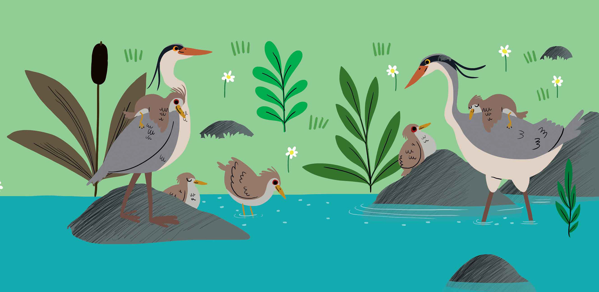 Illustrations pour "Mon cahier vert Grande section"