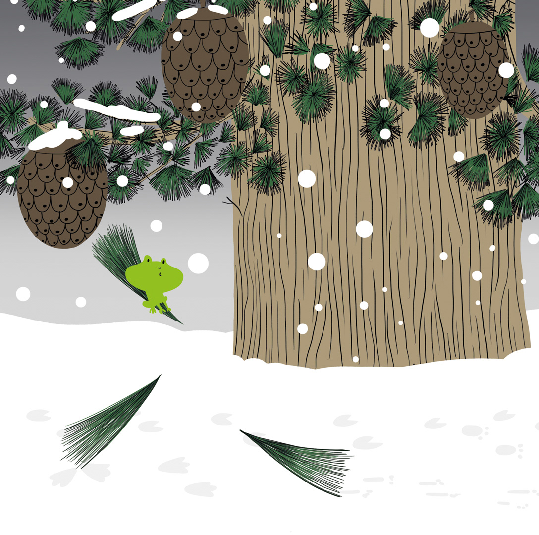 Autrice et illustratrice de l'histoire "Grigrogru la grenouille qui voulait voler"