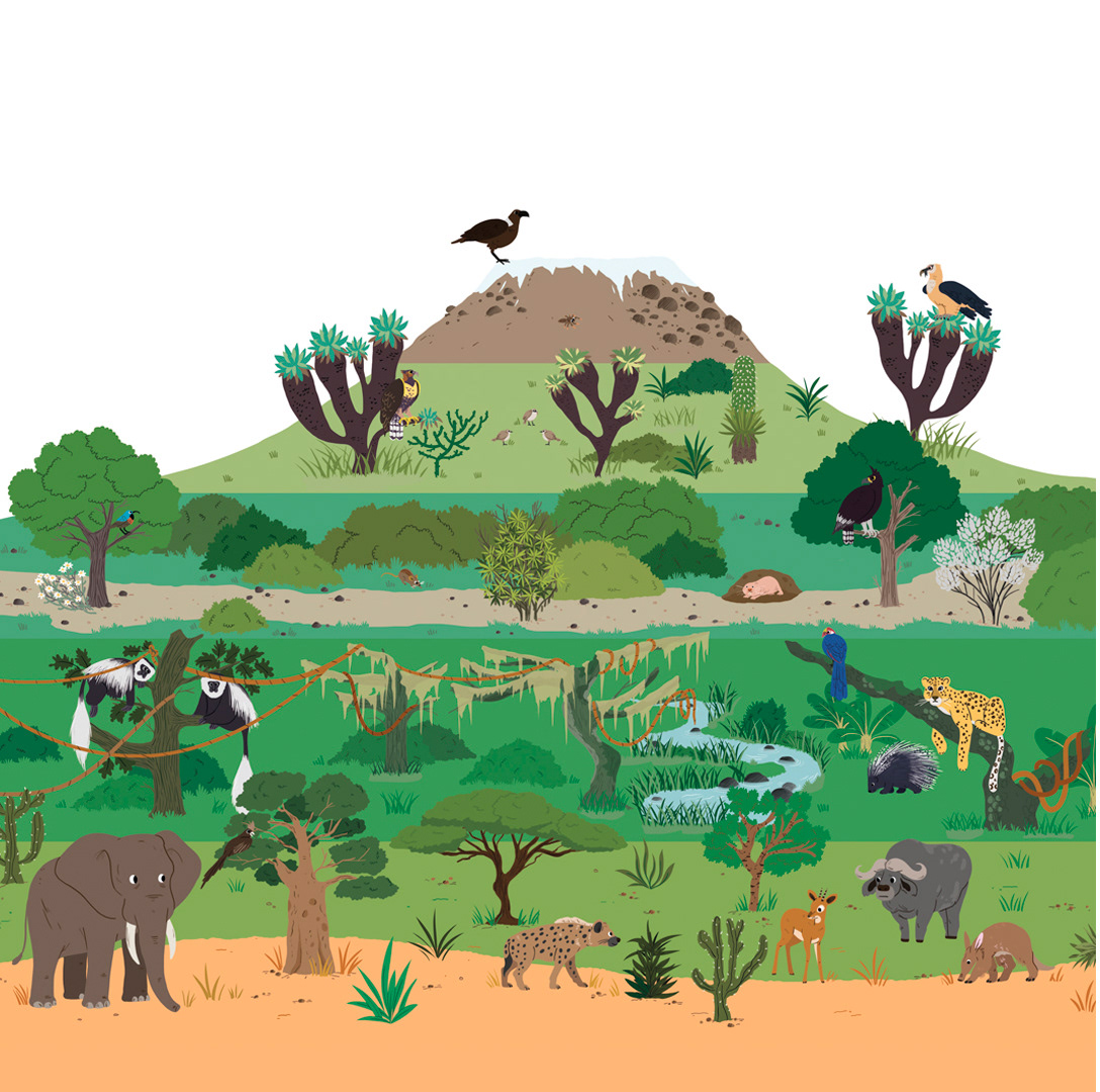 Illustrations sur " Mes pourquoi, les volcans"