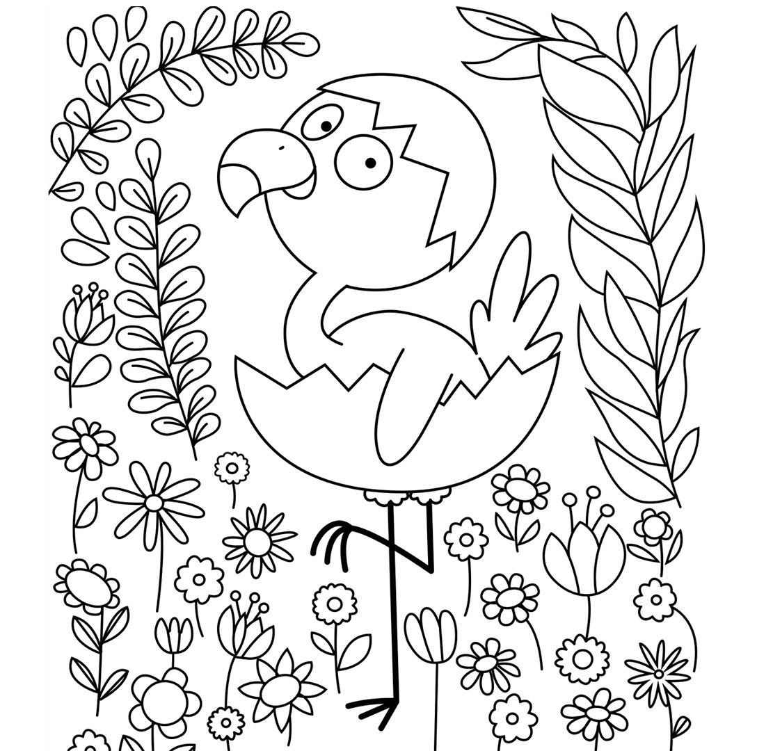 Illustrations pour Banette, opé Pâques 2023