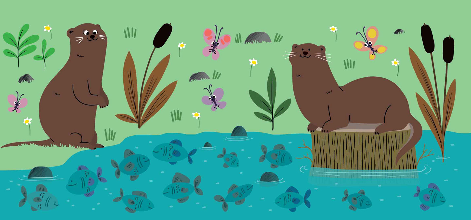 Illustrations pour "Mon cahier vert Grande section"