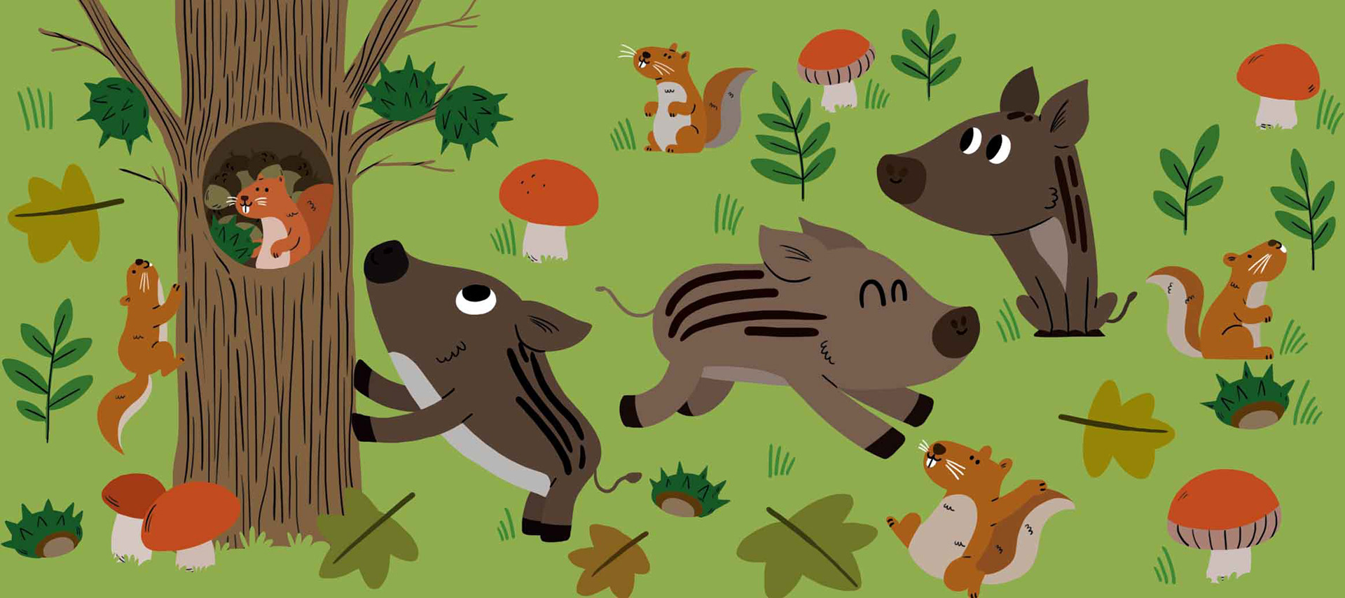 Illustrations pour "Mon cahier vert Grande section"