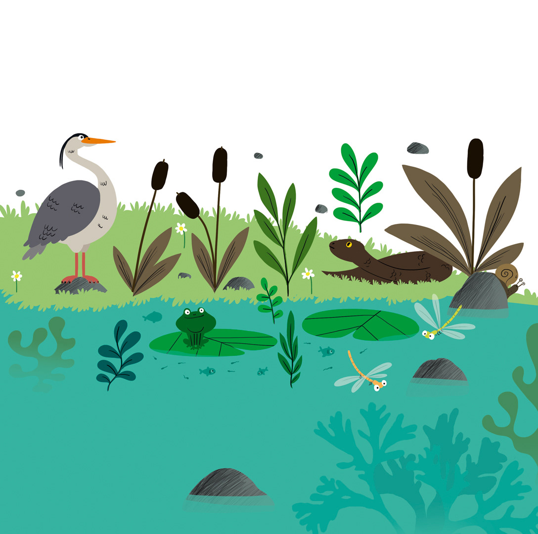 Illustrations pour un cahier de maternelle